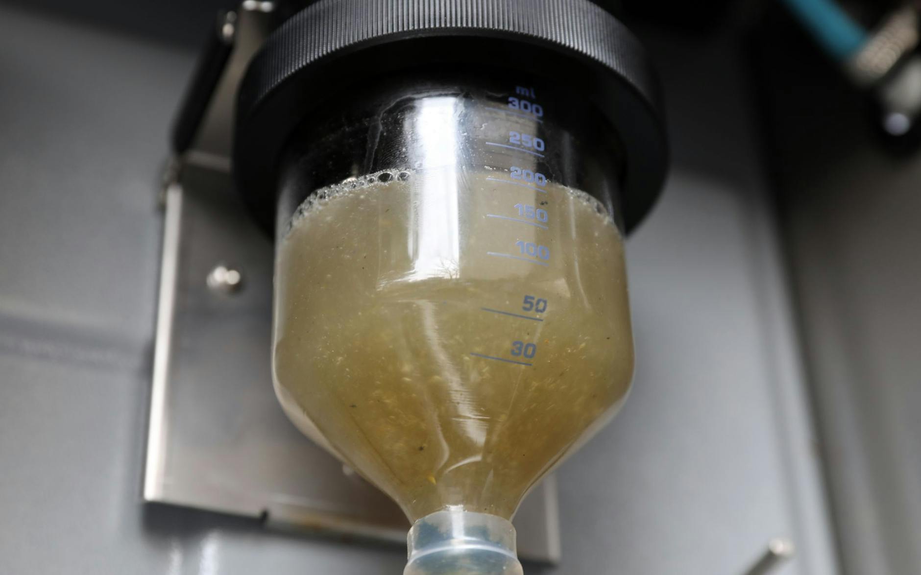 ARCHIV - Bei Nordwasser in Rostock wird bei der automatischen Probennahme von Abwasser eine Probe entnommen, die unter anderem auf Coronaviren untersucht wird. dpa