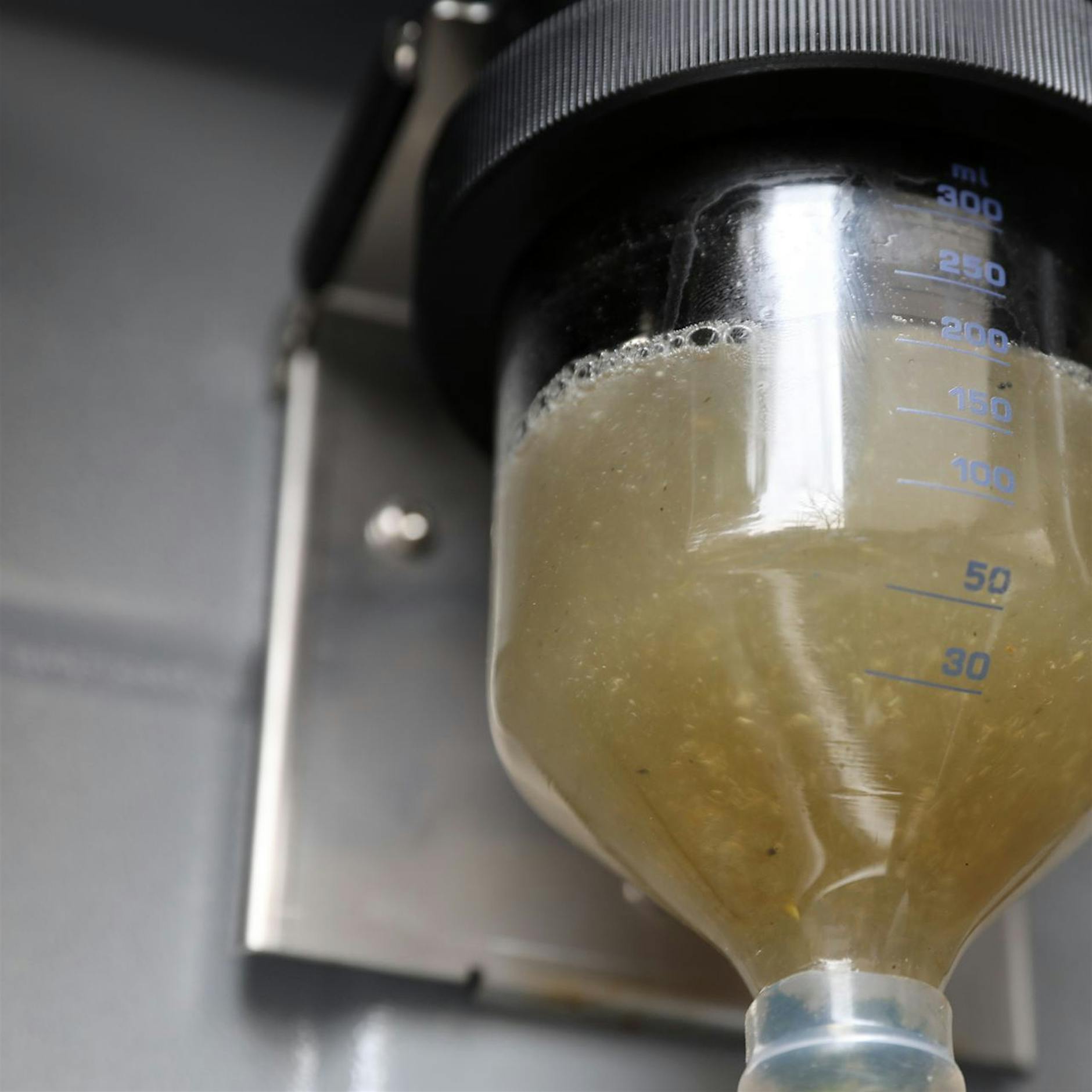 Wie man Corona im Abwasser aufspürt