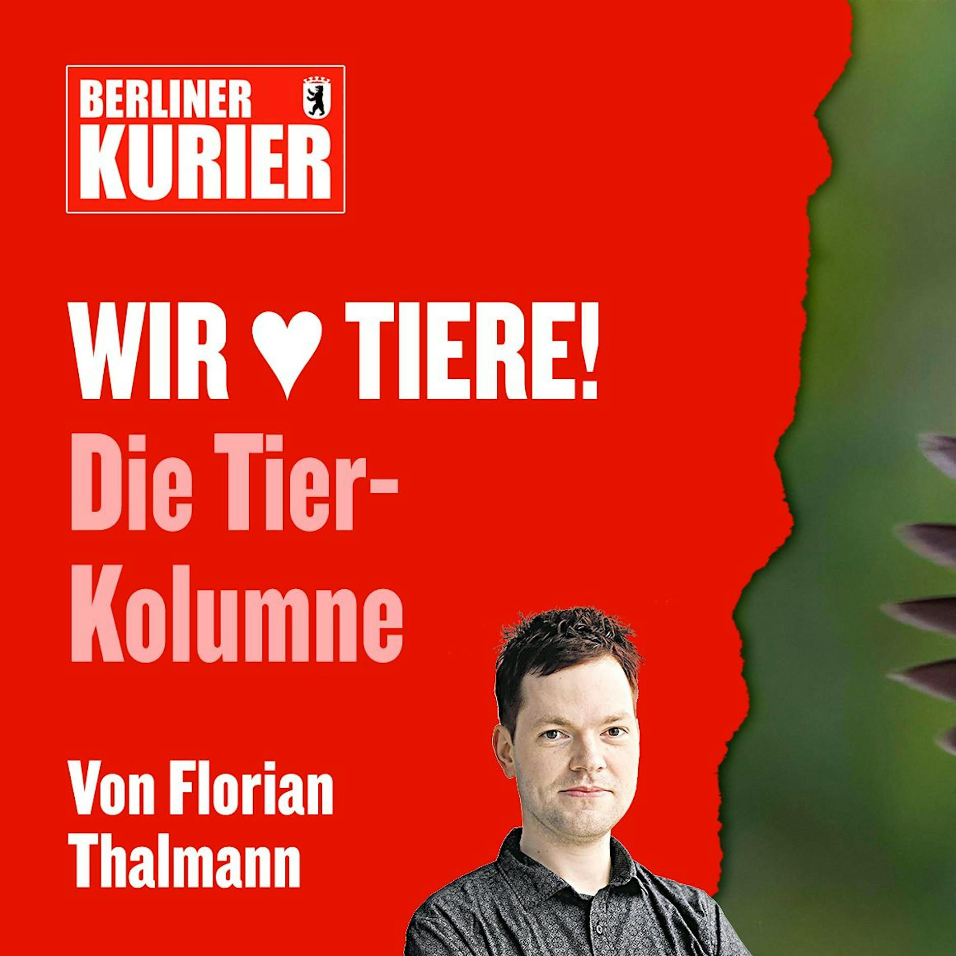 Er galt seit 30 Jahren als ausgestorben! DIESES wunderschöne Tier ist jetzt endlich zurück in Berlin