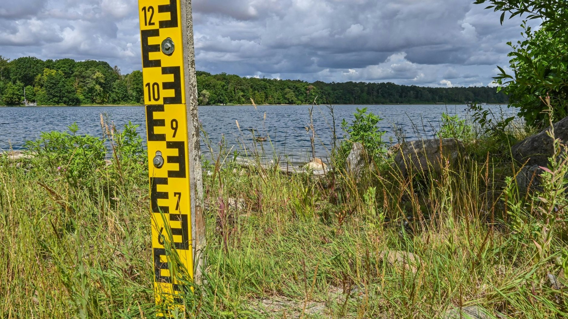 PRODUKTION - Seit Jahren sinkt der Pegel des Straussees in Straußberg östlich von Berlin immer weiter. Foto: Patrick Pleul/dpa