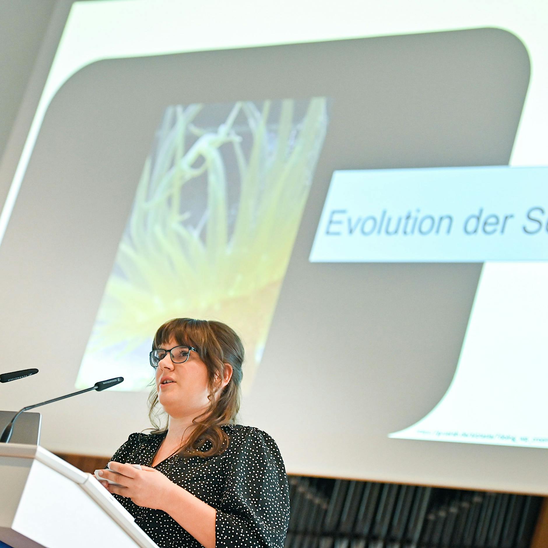 Abgesagter HU-Vortrag über Gender: Marie-Luise Vollbrecht will keine Fragen