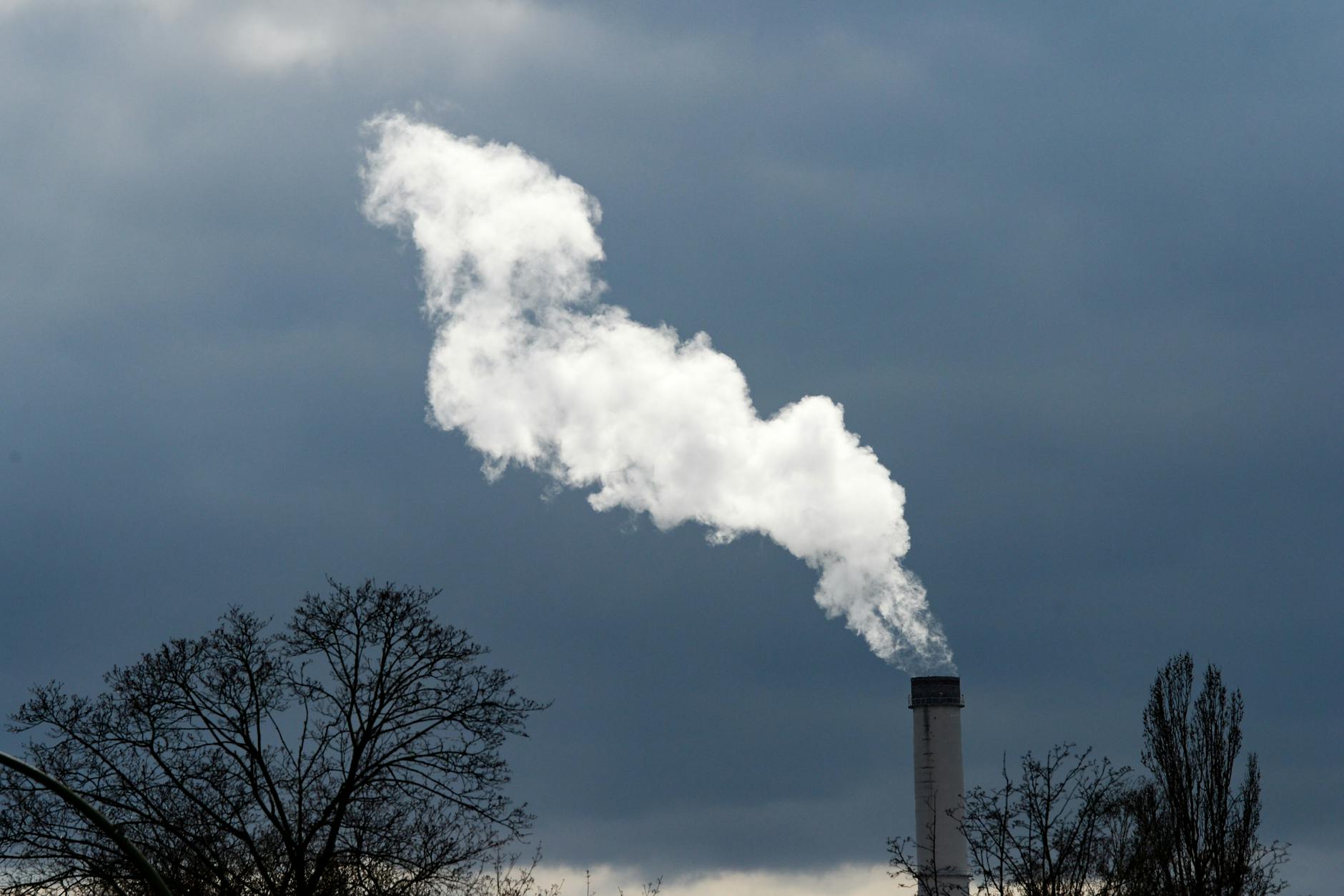 Schneller weg von fossilen Energien und hin zu einer grünen Stadt. Das fordert ein Bündnis und sammelt ab morgen Unterschriften für ein Volksbegehren.
