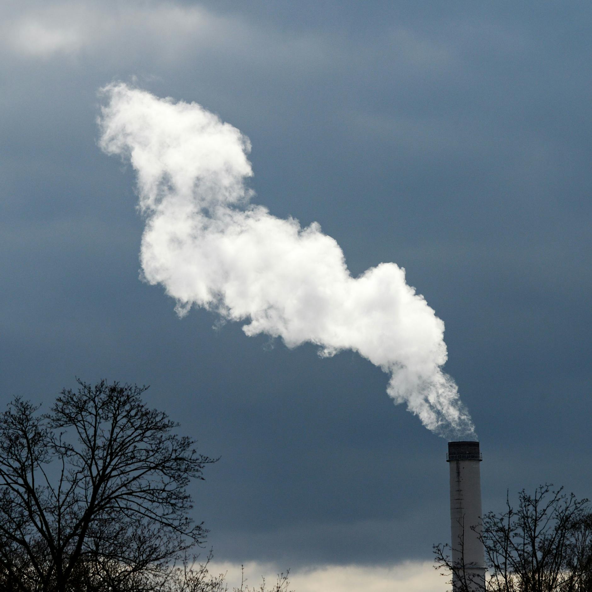 Berlin soll mehr machen: Volksbegehren für mehr Klimaschutz startet – und will Verbrenner bis 2030 komplett verbieten!