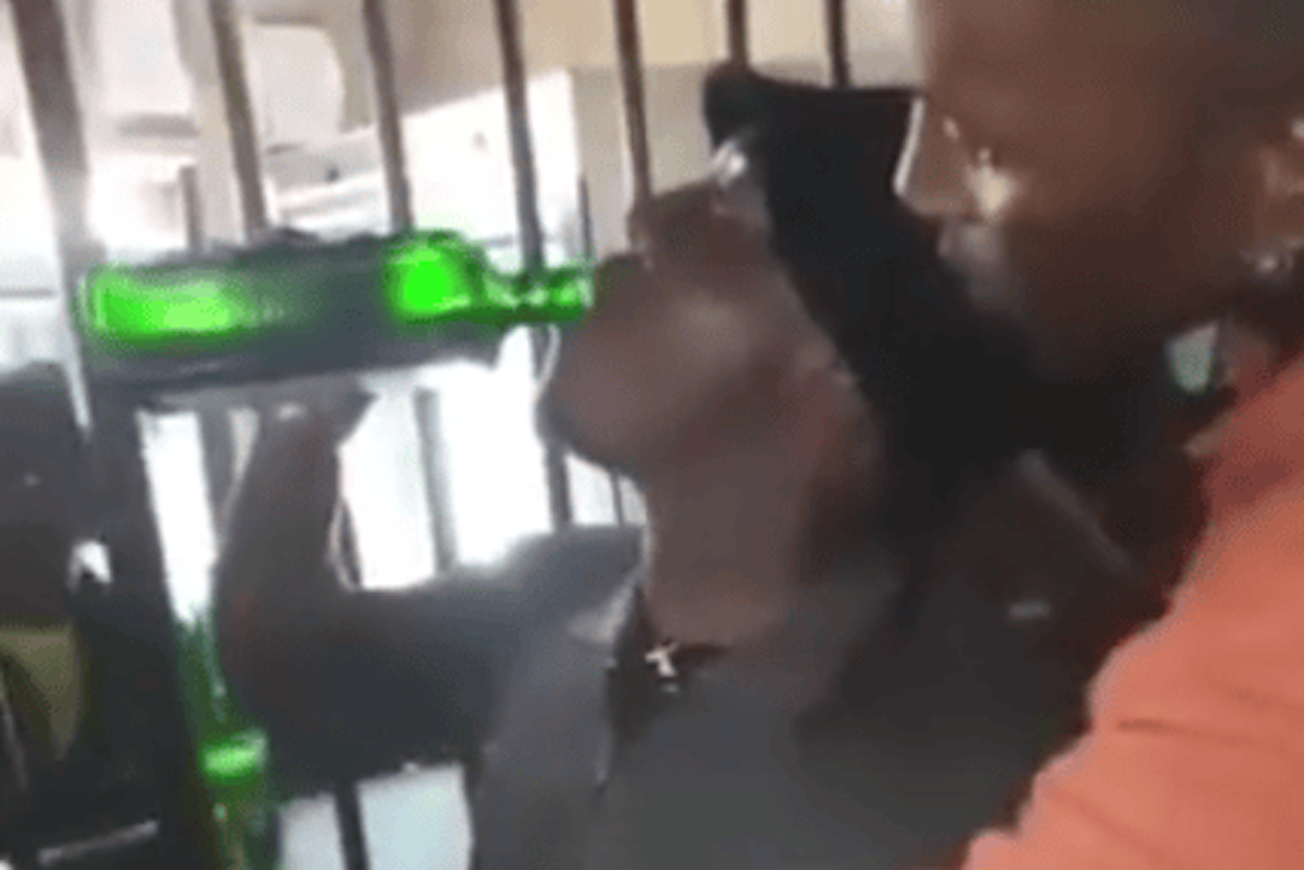 Ein Mann in Südafrika ext eine Flasche Jägermeister. Kurz darauf ist er tot.