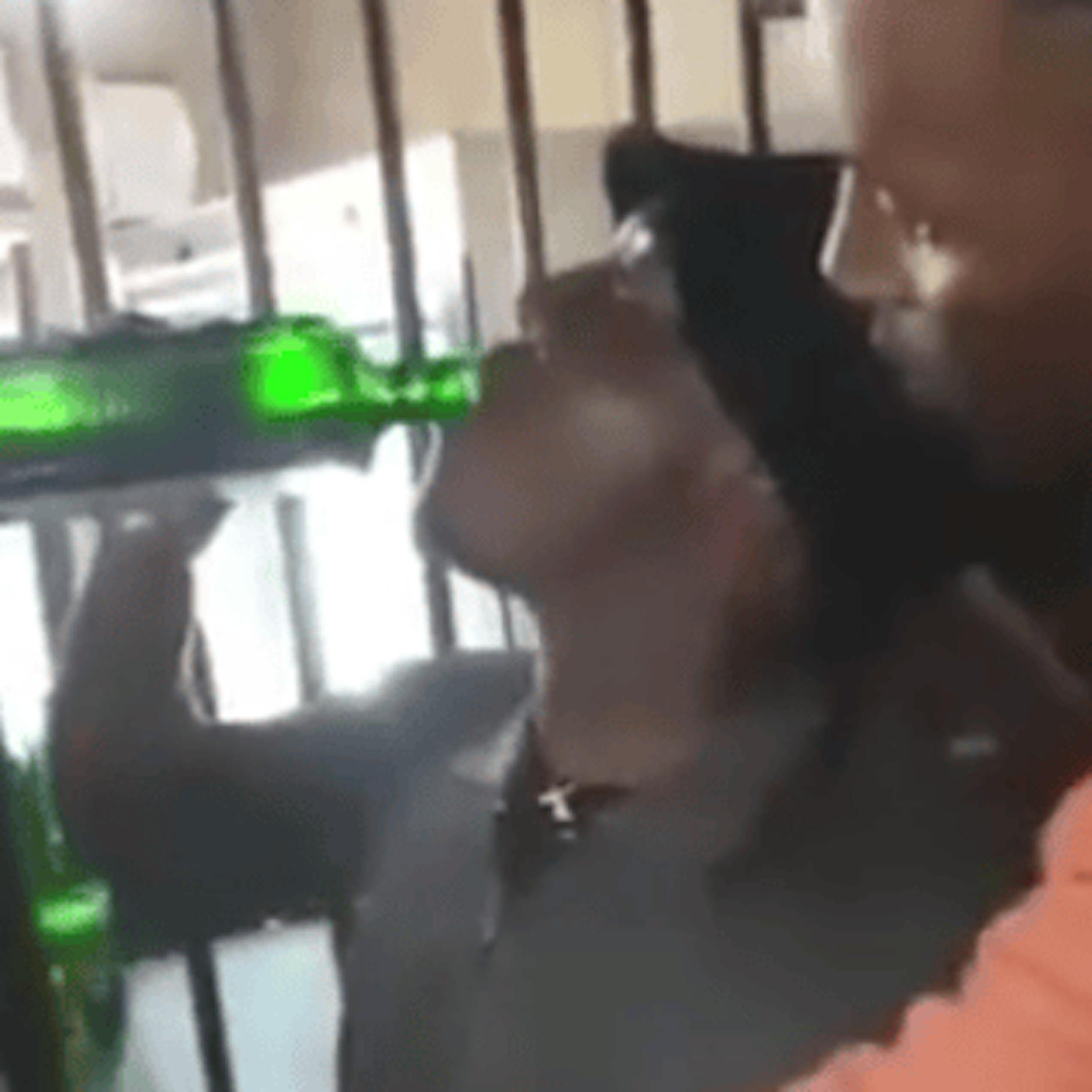 Wie viel Alkohol ist tödlich? Mann ext Flasche Jägermeister in unter 2 Minuten – und stirbt