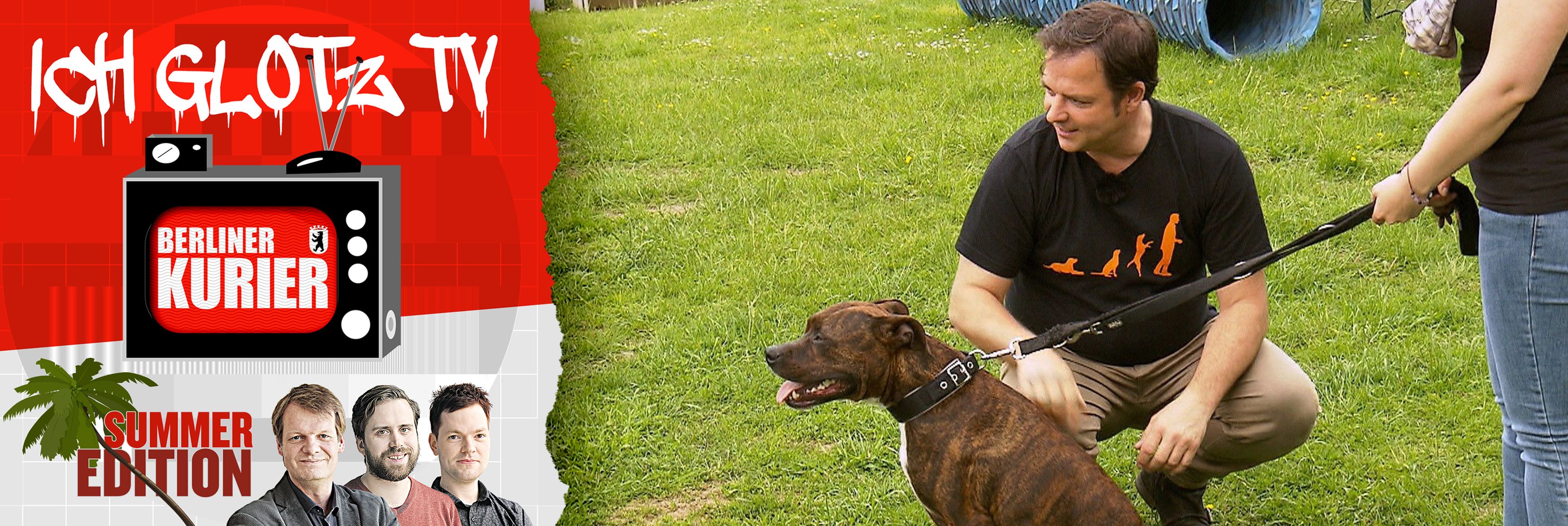 Image - „Ich glotz TV“: Der Fernsehpodcast zwischen Hundeschule und Dieter Günter Bohlen