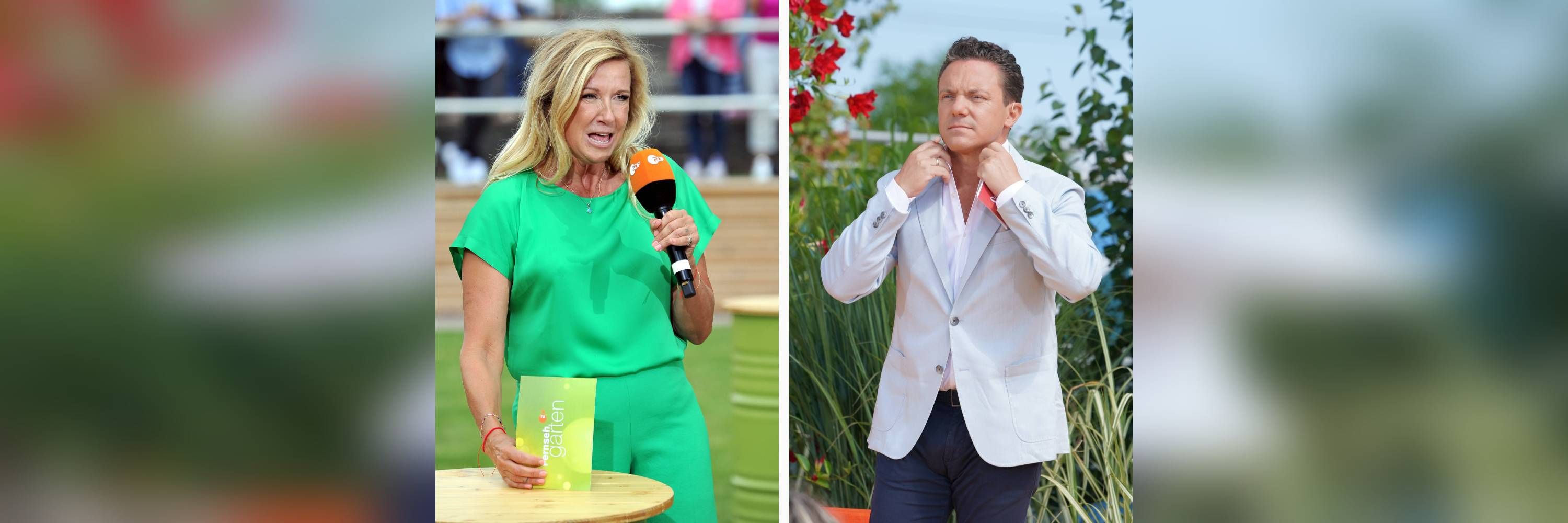 Image - Nach dem Wollny-Skandal: Das sind Stefan Mross' Gäste für Immer wieder sonntags – und das hält Andrea Kiewel im ZDF-Fernsehgarten dagegen