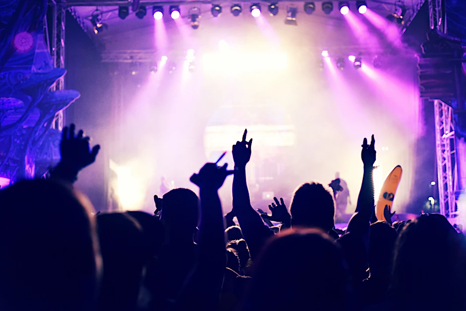 Crowd rocking during a concert with raised arms. Toned image