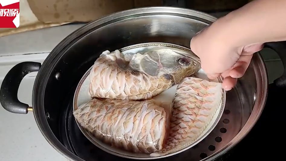 Der Mann bereitet sein verstorbenes Haustier, einen Arowana, zu.