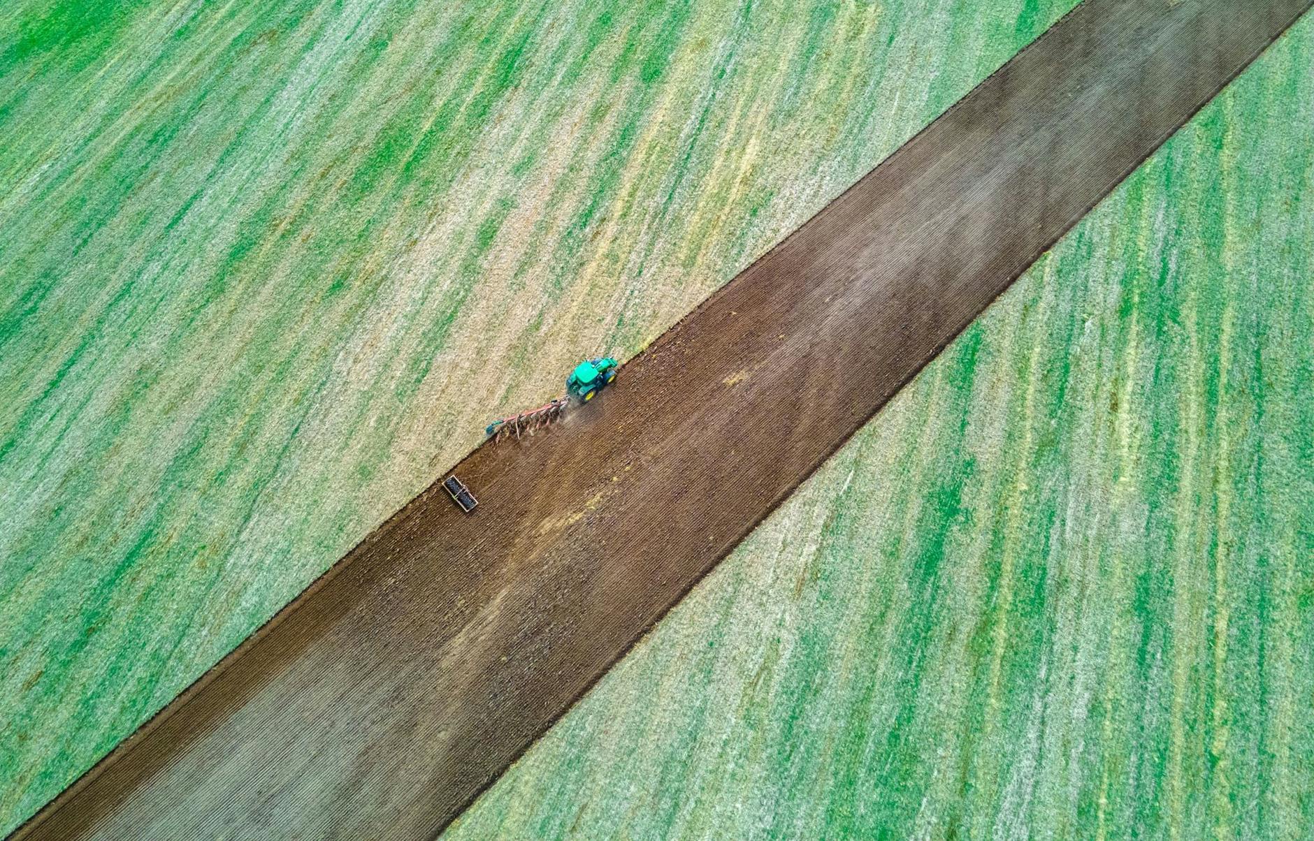 ARCHIV - Ein Traktor zieht Pflug und Egge über ein abgeerntetes Feld. a/Symbolbild