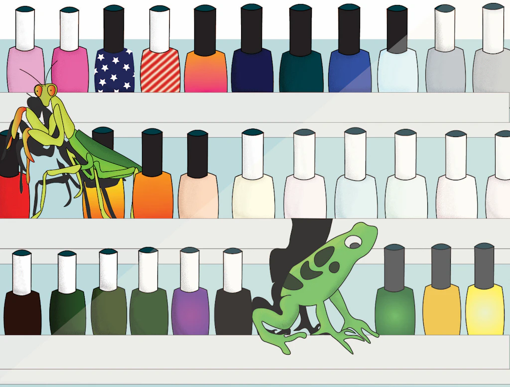 Pfeilgiftfroschgrün: Enttäuschungen im Nagelstudio