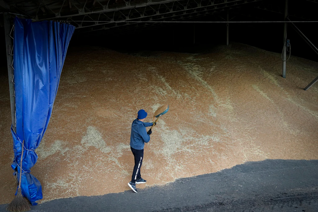 Lebensmittelkrise: Getreide-Ausfuhr aus Ukraine hat wohl begonnen