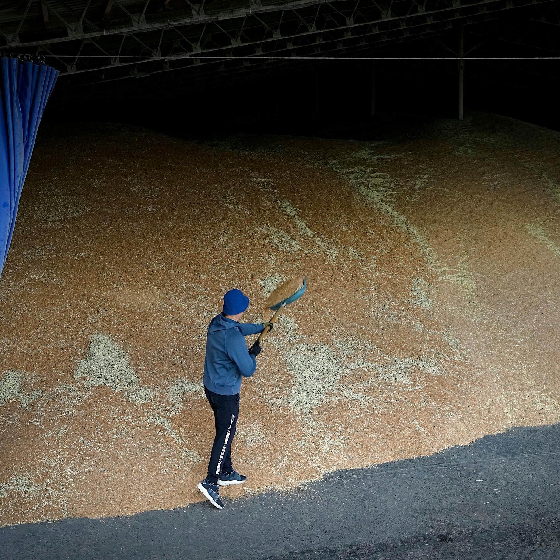 Lebensmittelkrise: Getreide-Ausfuhr aus Ukraine hat wohl begonnen