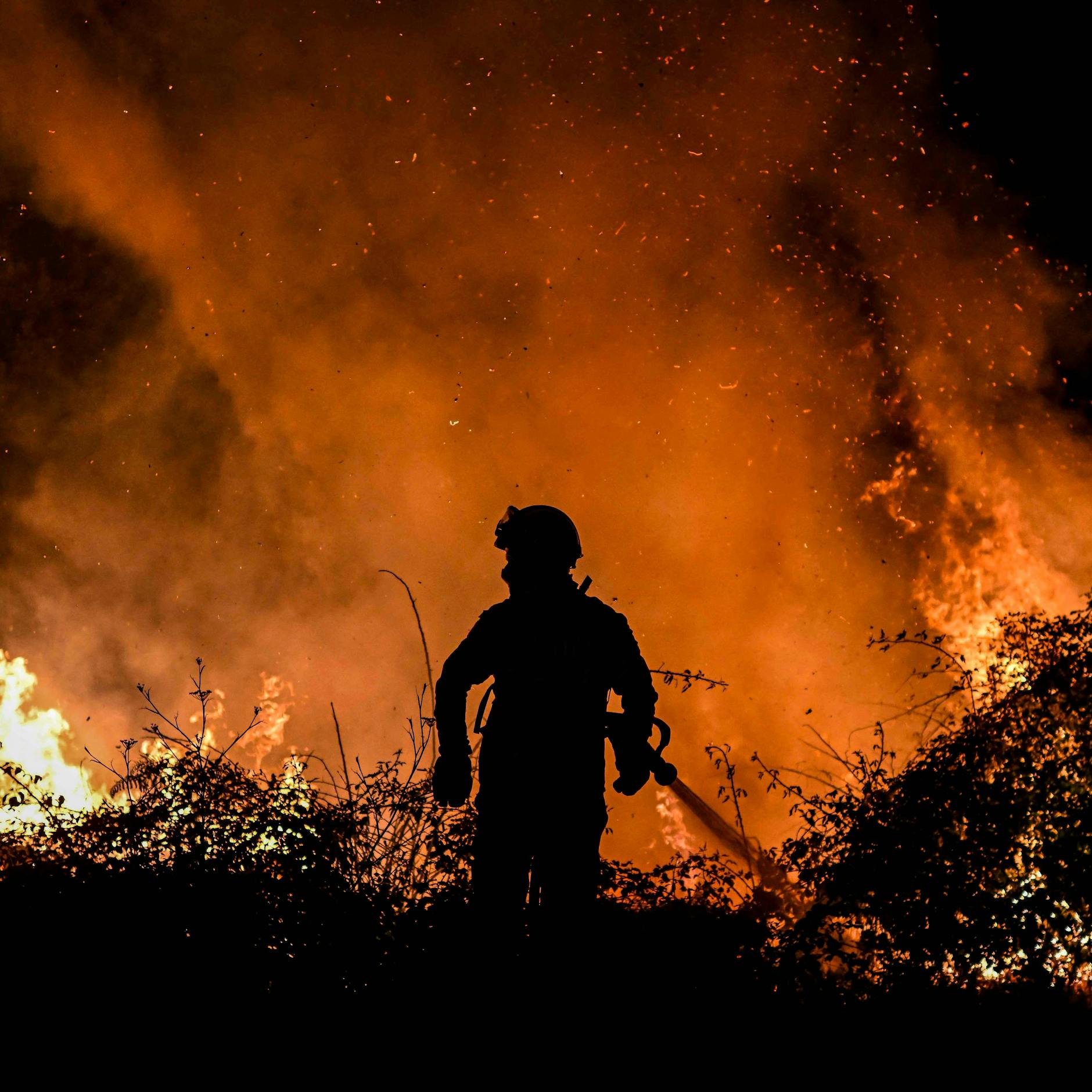 Portugal wird gerade von schweren Waldbränden heimgesucht.