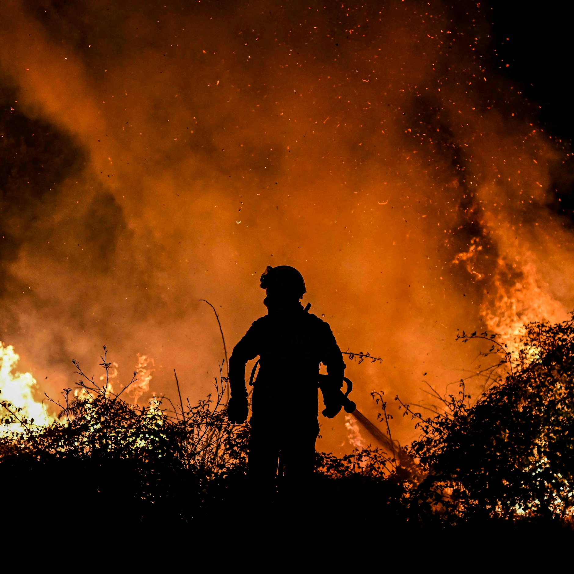 Portugal wird gerade von schweren Waldbränden heimgesucht.