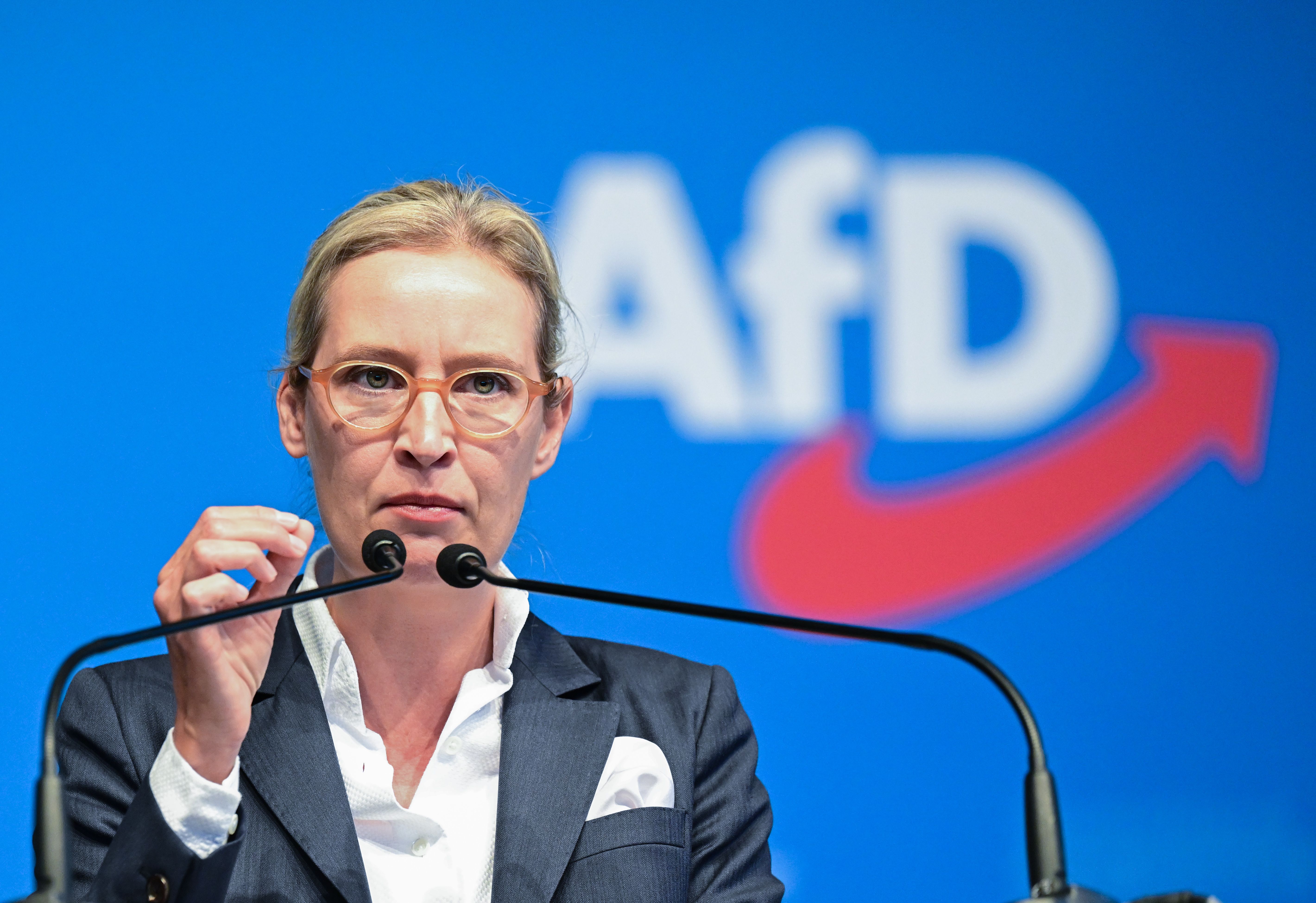 Alice Weidel: AfD Wird Sich Bei Medien Einkaufen