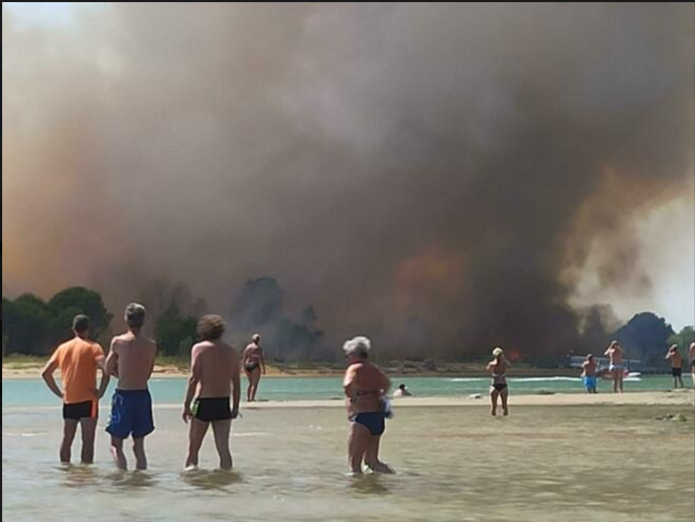 Horror-Waldbrand am Urlaubsstrand in Italien: Touristen flüchten ins Meer