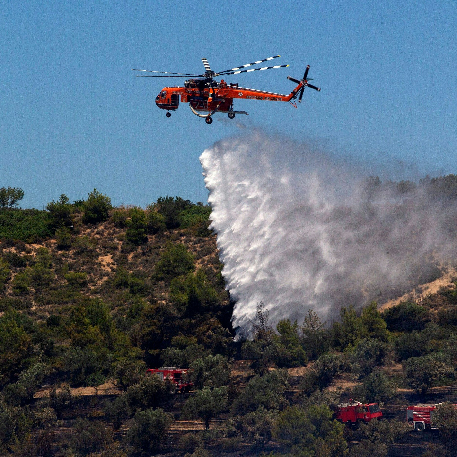 Täglich brechen in Griechenland dutzende Waldbrände aus.