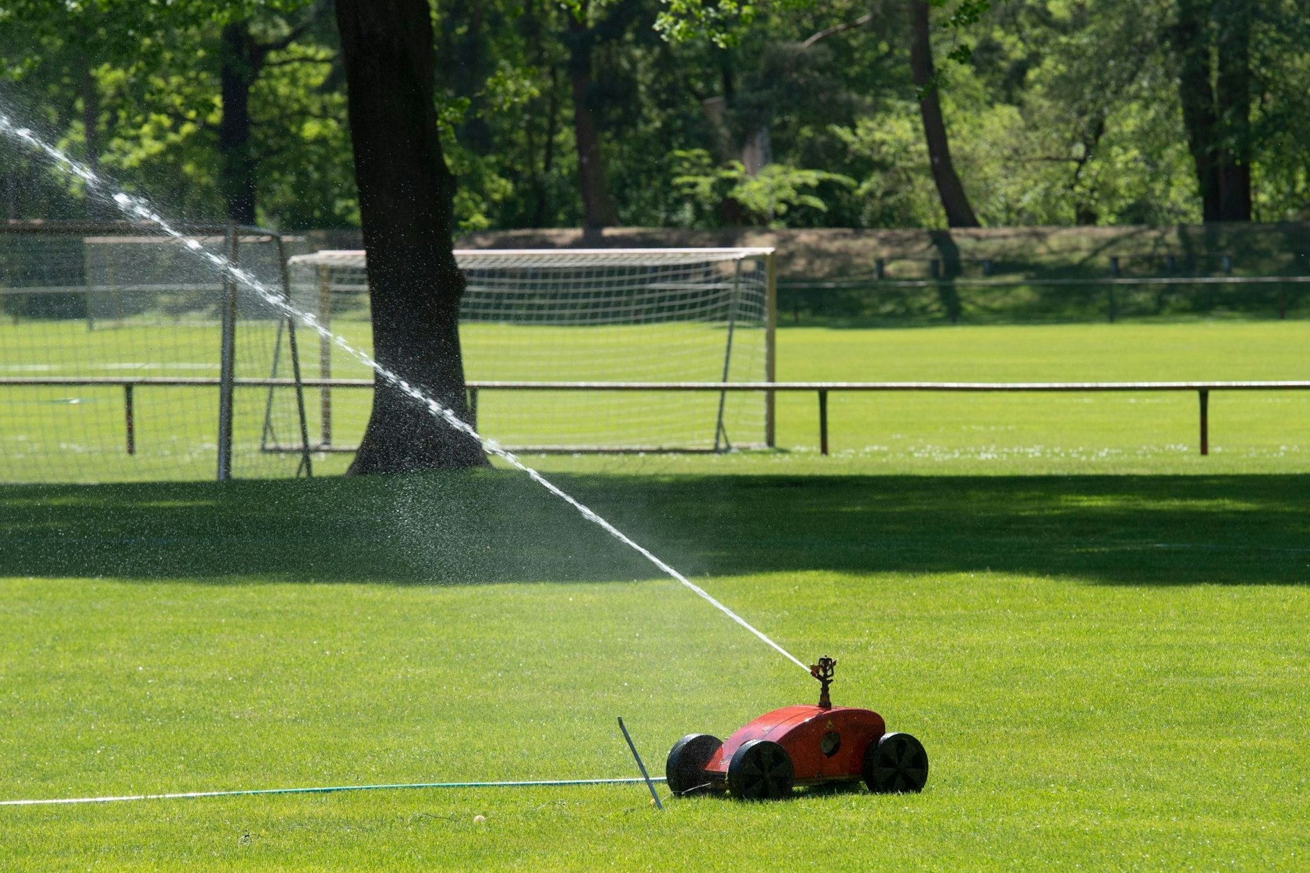 Ein Rasensprenger bewässert eine Sportanlage in Brandenburg