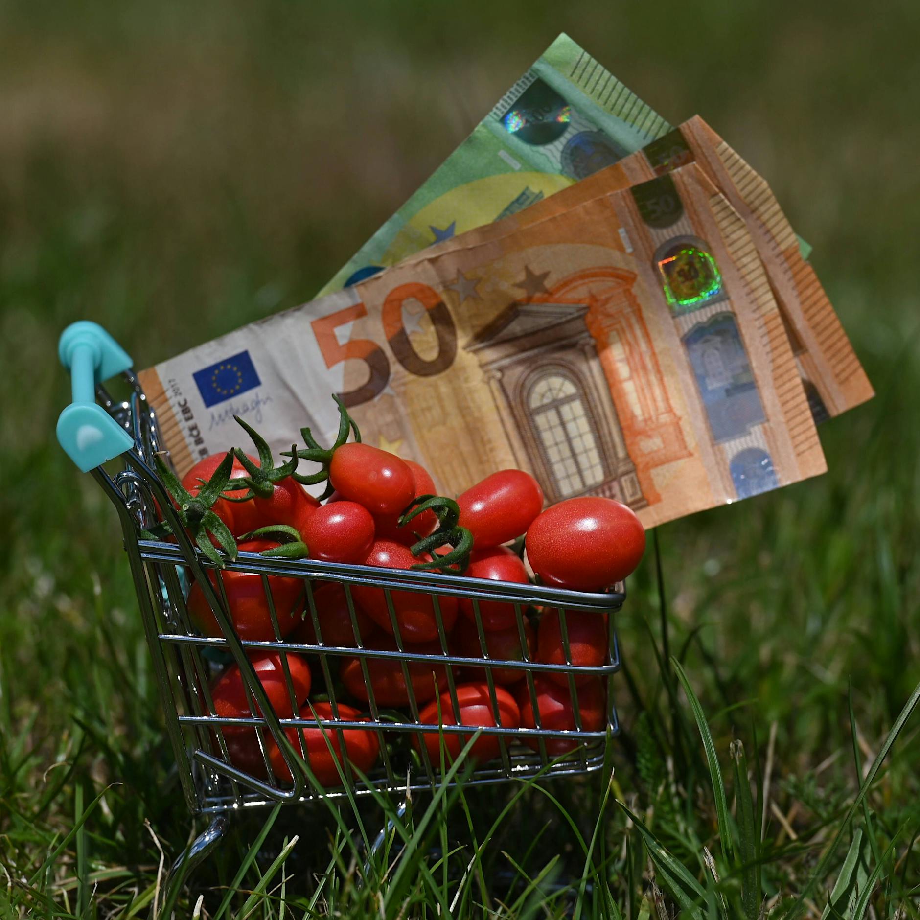 Strom, Gas, Lebensmittel – alles teurer! Doch eine Berliner Politikerin warnt jetzt vor einer Sorglos-Falle und sagt: Der Staat kann nicht jeden retten