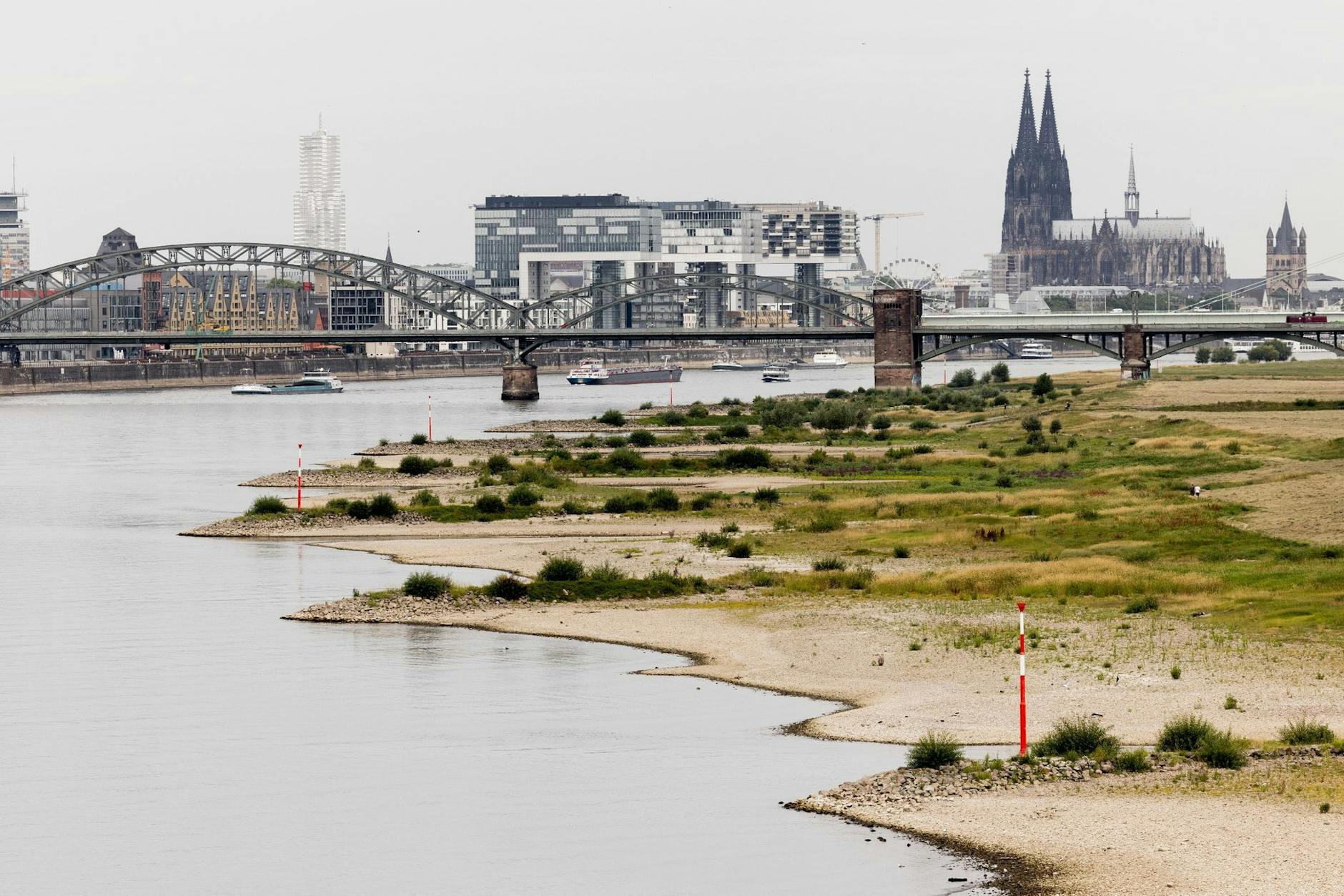 ARCHIV - Blick auf den Rhein bei einem Pegel von 154cm - im Hintergrund ist der Kölner Dom zu sehen.