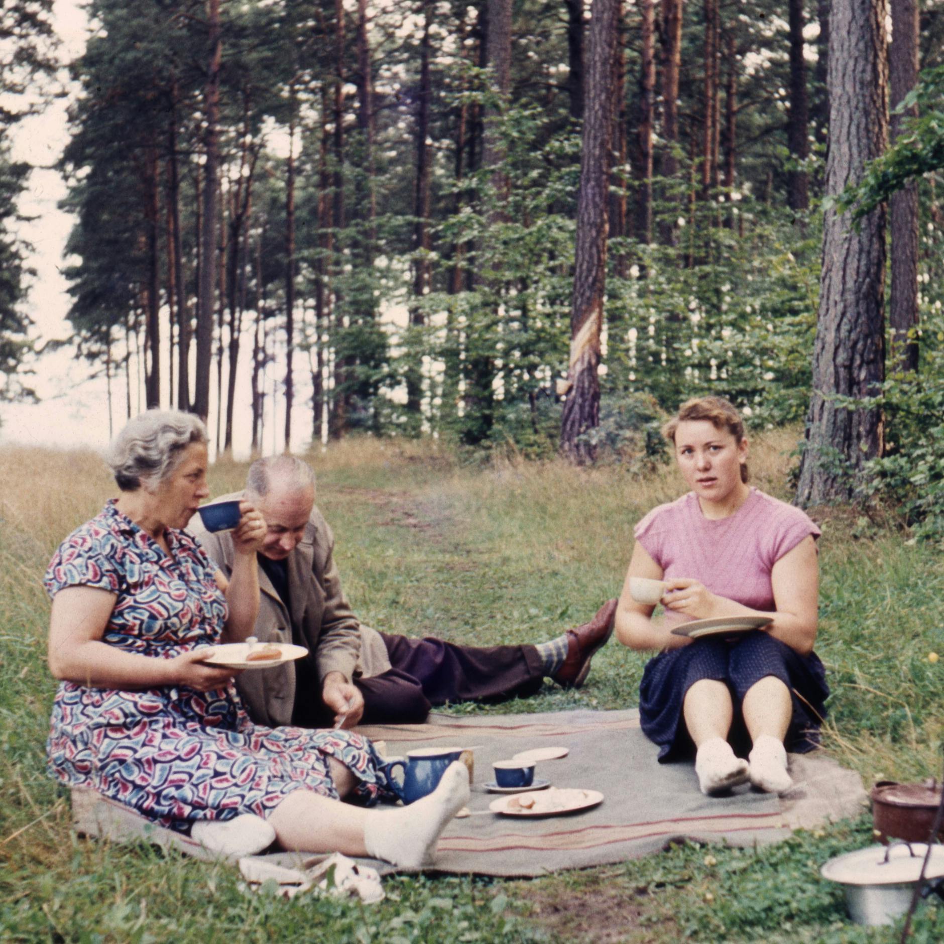 5 Orte zum Picknicken in Berlin: Entspannt draußen genießen