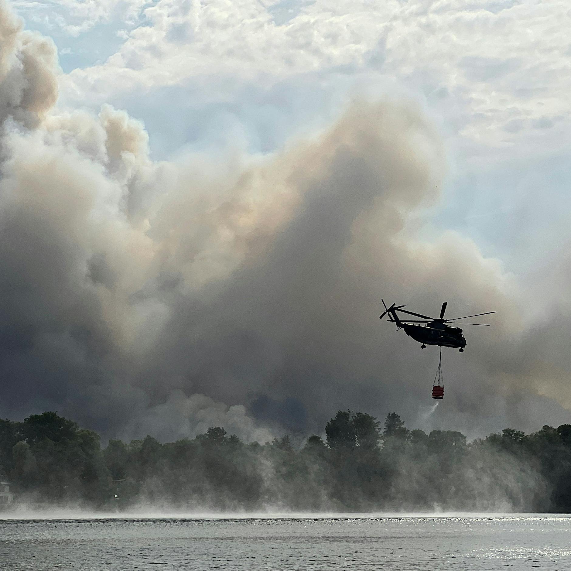 Waldbrand: Können Zigaretten und Scherben ein Feuer entfachen?