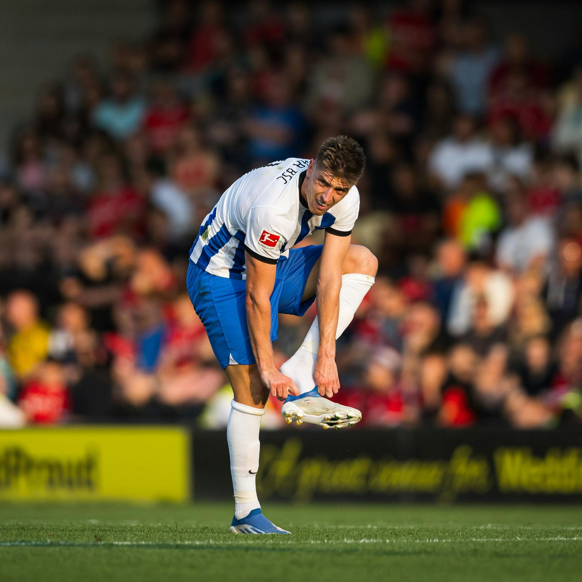 Image - Scheich-Millionen für Hertha BSC – dank Stürmer-Flop Krzysztof Piatek
