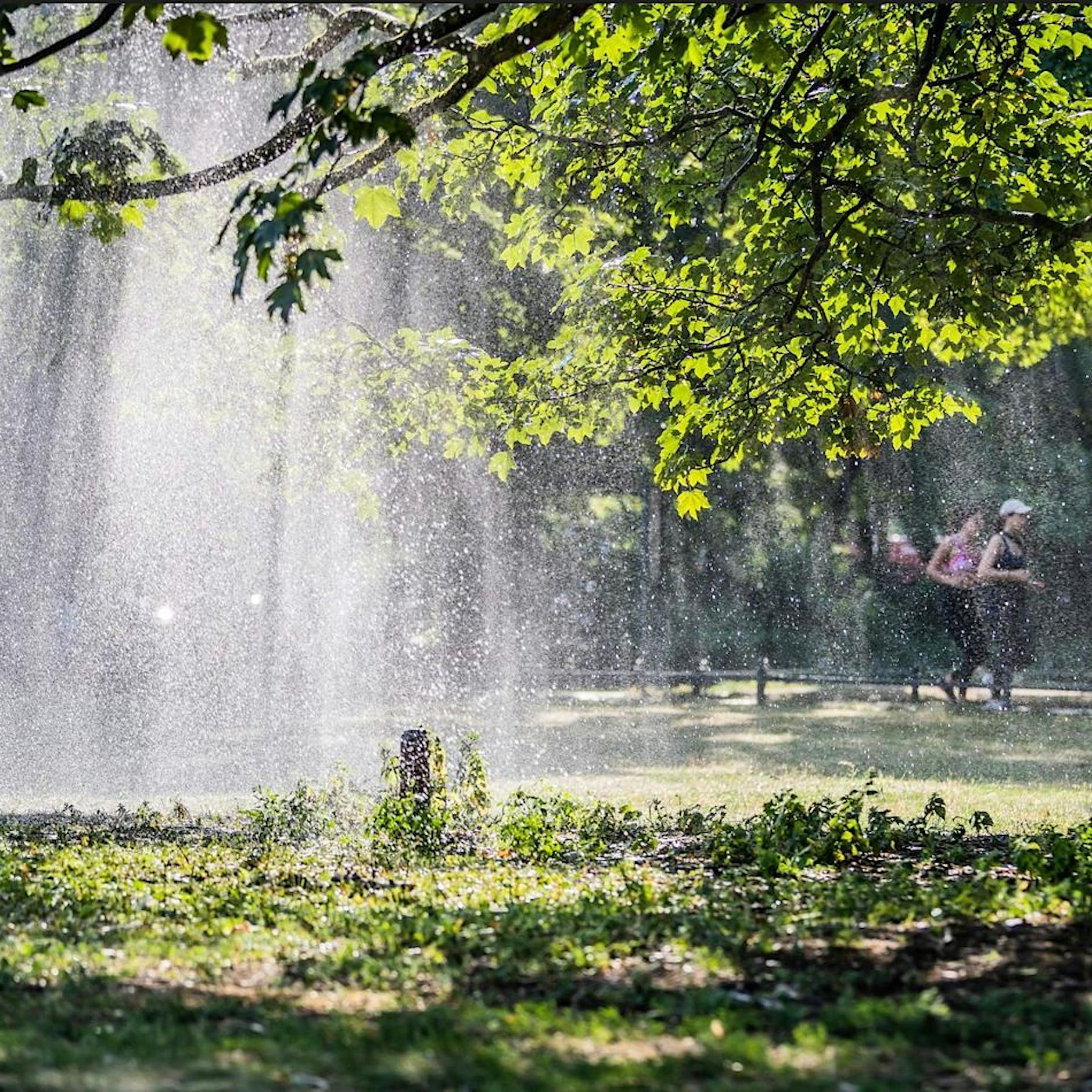 Berlin: Das sind die drei Lieblingsparks der Hauptstädter