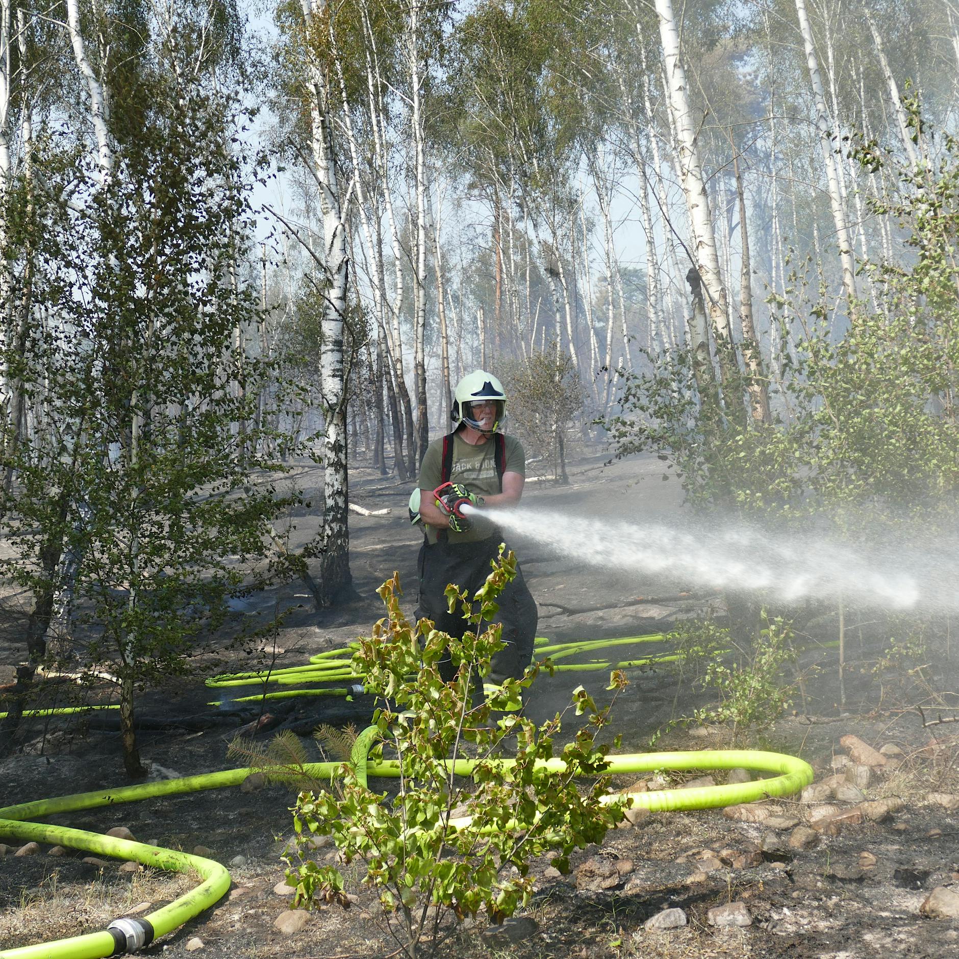 Dramatische Waldbrände in ganz Deutschland: Verletzte, Flammen an dichtbefahrener Autobahn!