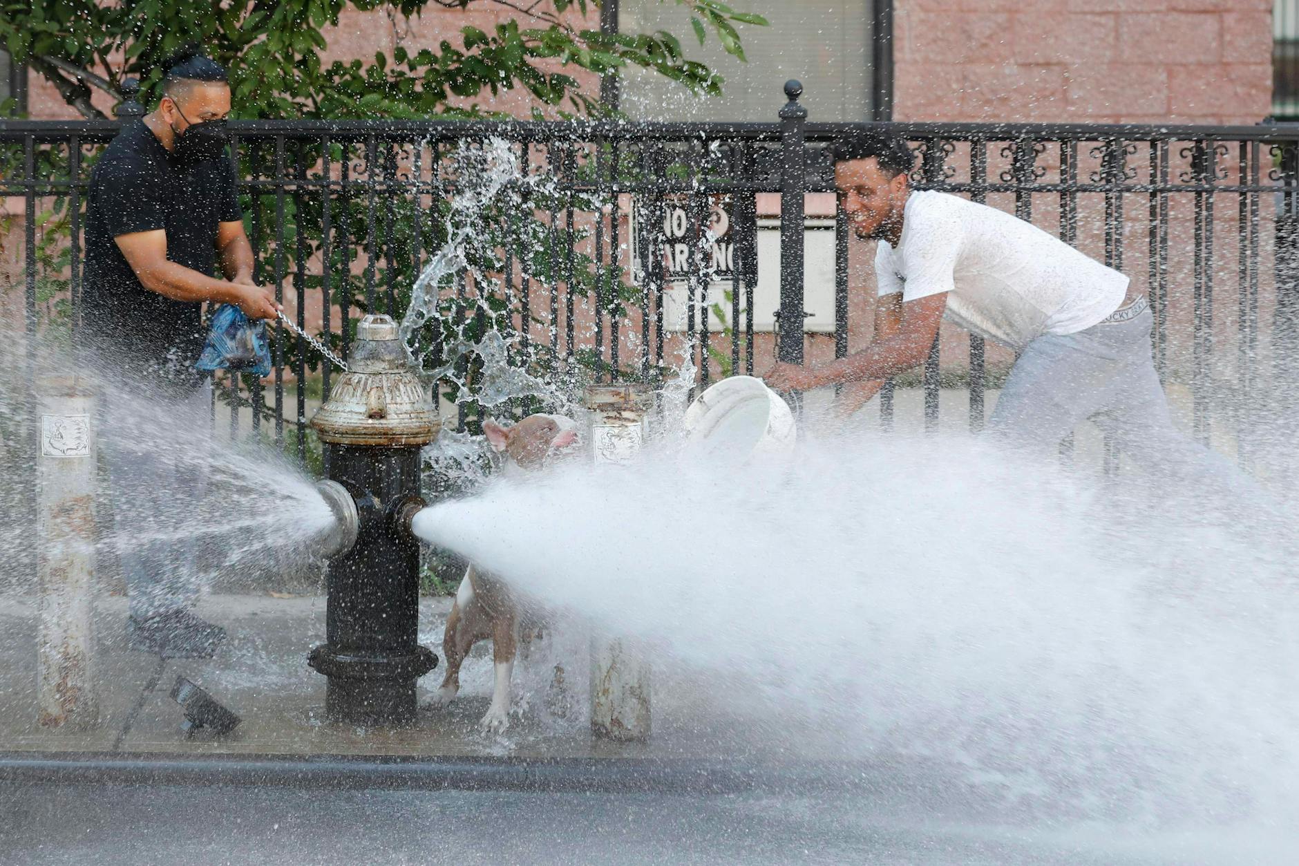 New York: Die Feuerwehr öffnet – nach offiziellem Antrag – einen Hydranten pro Straßenblock, der daraufhin Wasser ausspuckt. Zur Freude von Mensch und Tier.