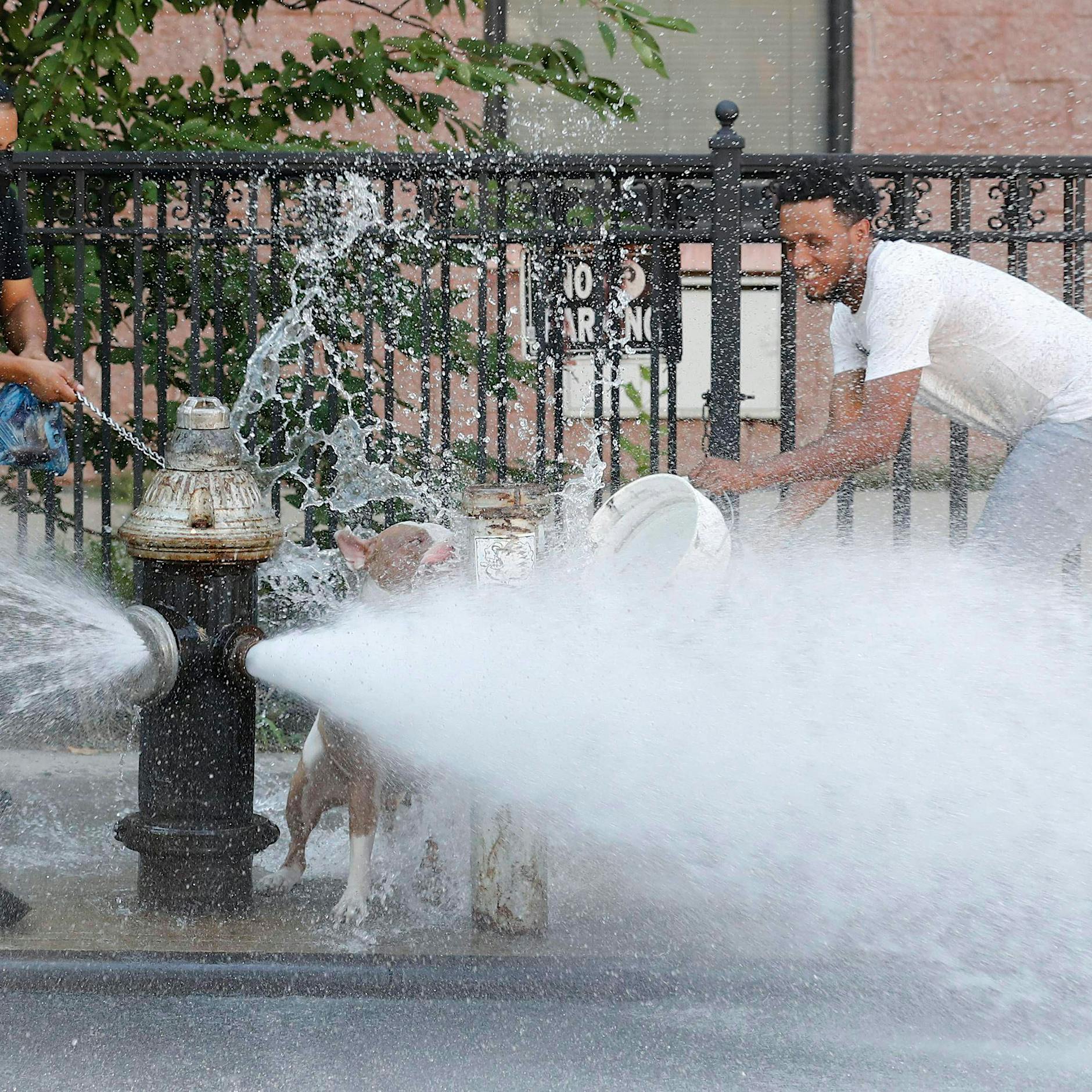 Von Katar bis Kalifornien: Wie heiße Metropolen mit Hitze umgehen