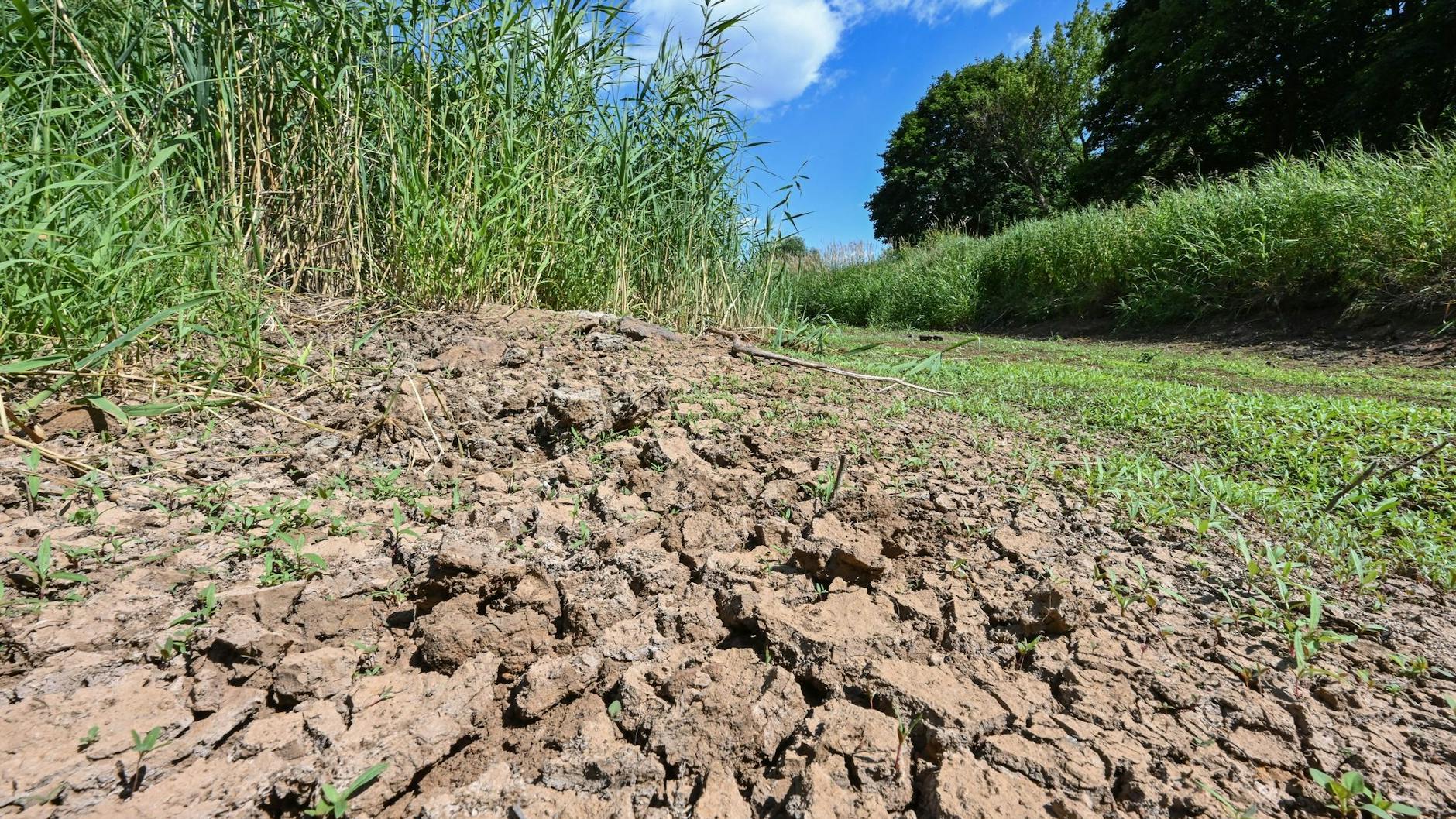 Ausgetrocknet ist ein Teilabschnitt des Flusses Schwarze Elster in Südbrandenburg.