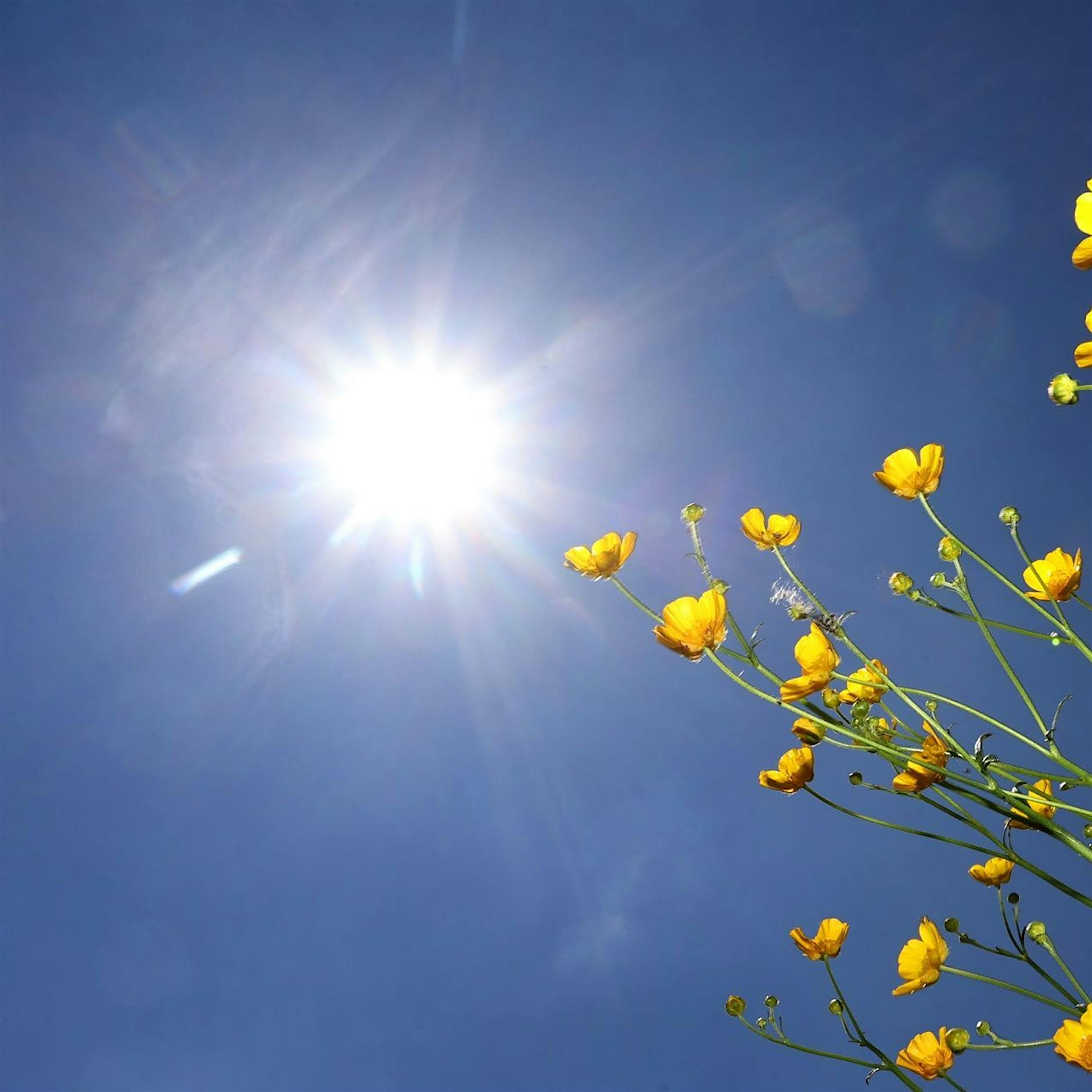 Ärztepräsident: Hitzeschutz ist gesellschaftliche Aufgabe