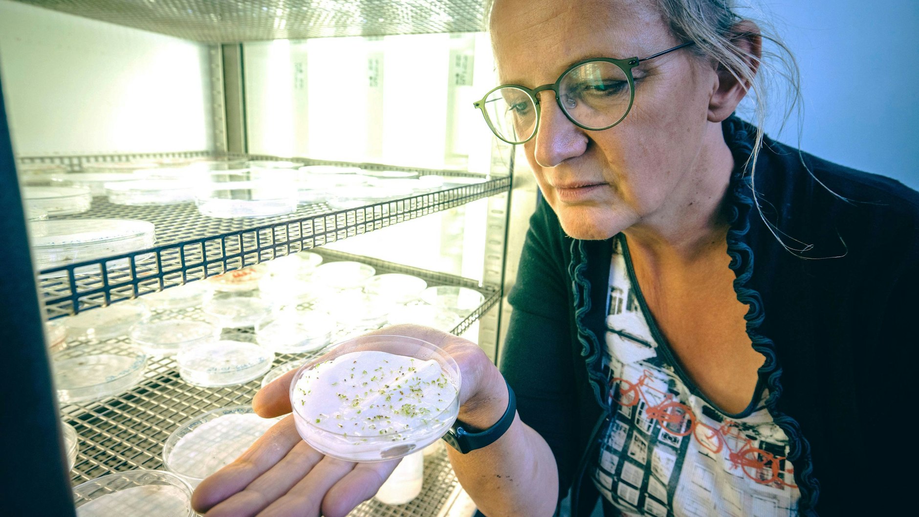 Die Biologin Silvia Oevermann blickt in ihrem Labor in den Keimschrank.