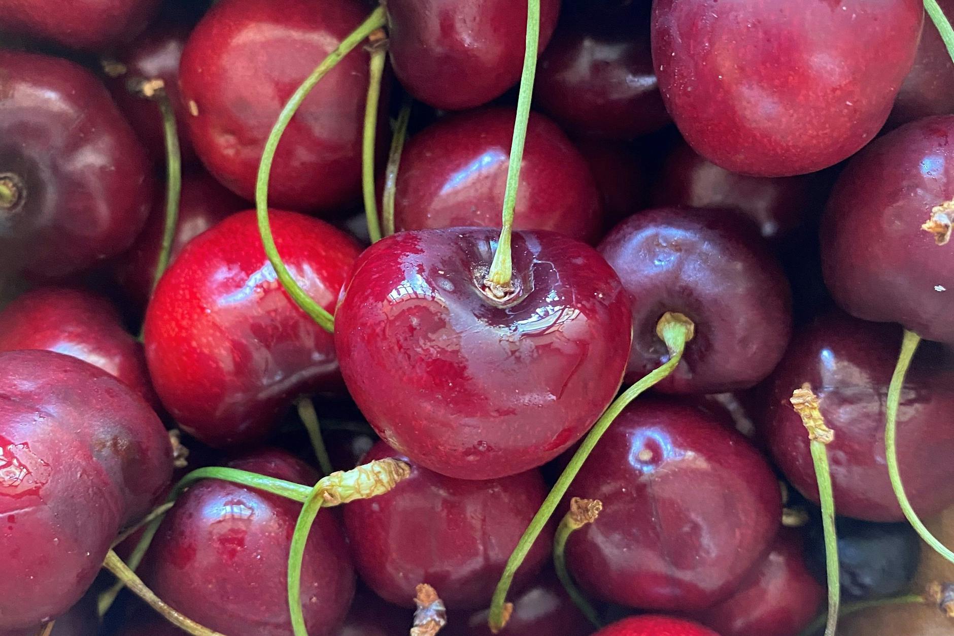 Schöne reife Kirschen: Unser Koch Felix Hanika hat sie auf der eigenen Farm auf Mallorca gepflückt. Und gleich verarbeitet.