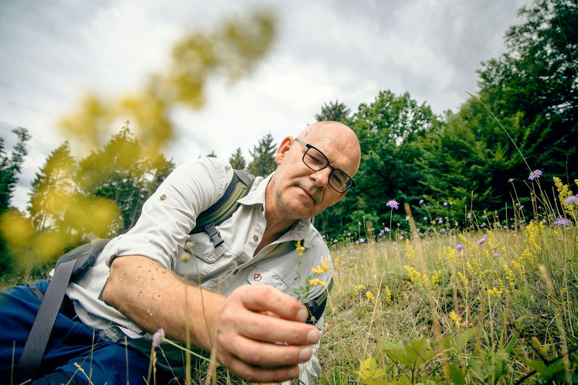 Der Biologe Peter Bergmann sammelt regionale Pflanzensamen auf einer Schafwiese am Silbersee in Hagen.