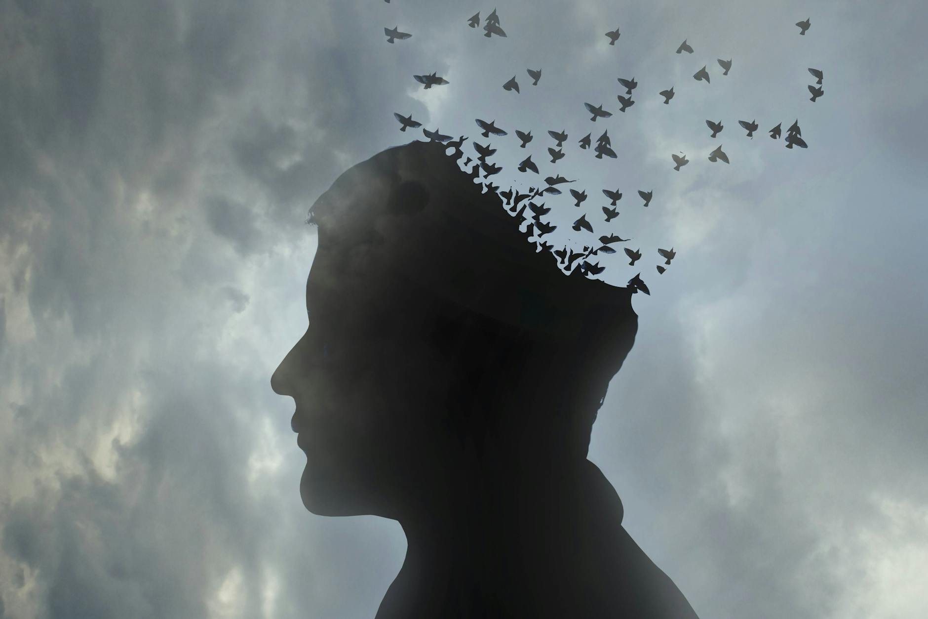 Der Schatten eines Kopfes löst sich in einen Vogelschwarm auf. (Symbolbild)