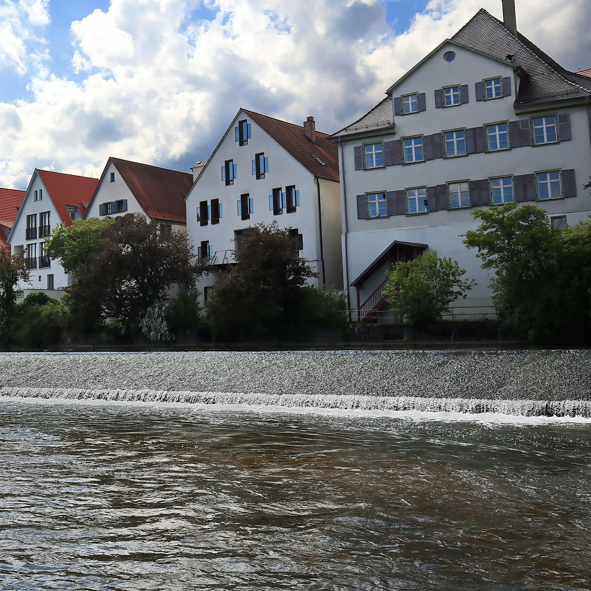 Unfassbar grausame Tat! Hund ertrinkt im Fluss, an seiner Leine war ein schwerer Stein befestigt – die Rasse wirft Fragen auf