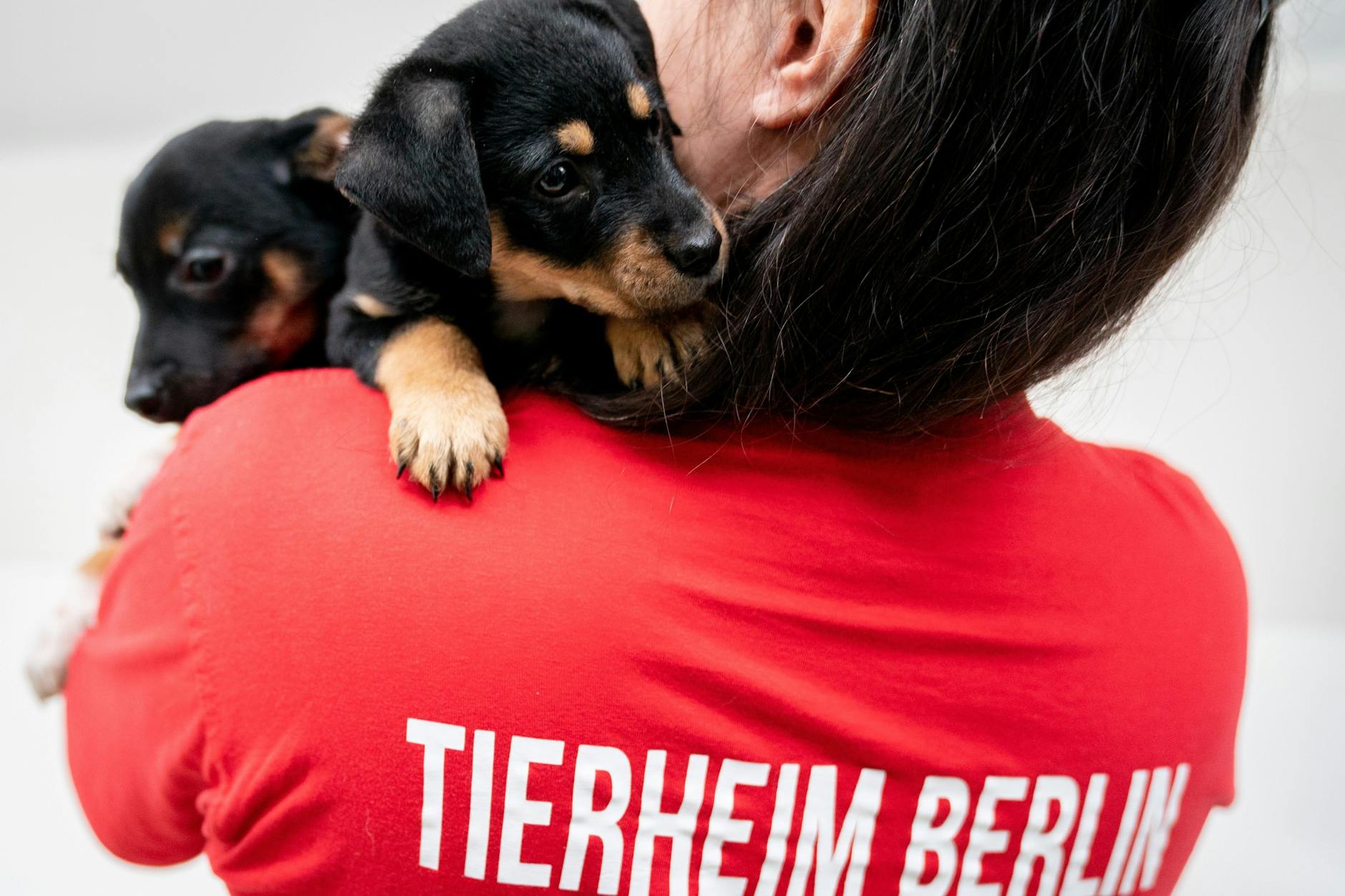 Die Mitarbeiter des Tierheim Berlin kümmern sich liebevoll um ihre Schützlinge. In den Ferien geben sie ihr Wissen weiter.