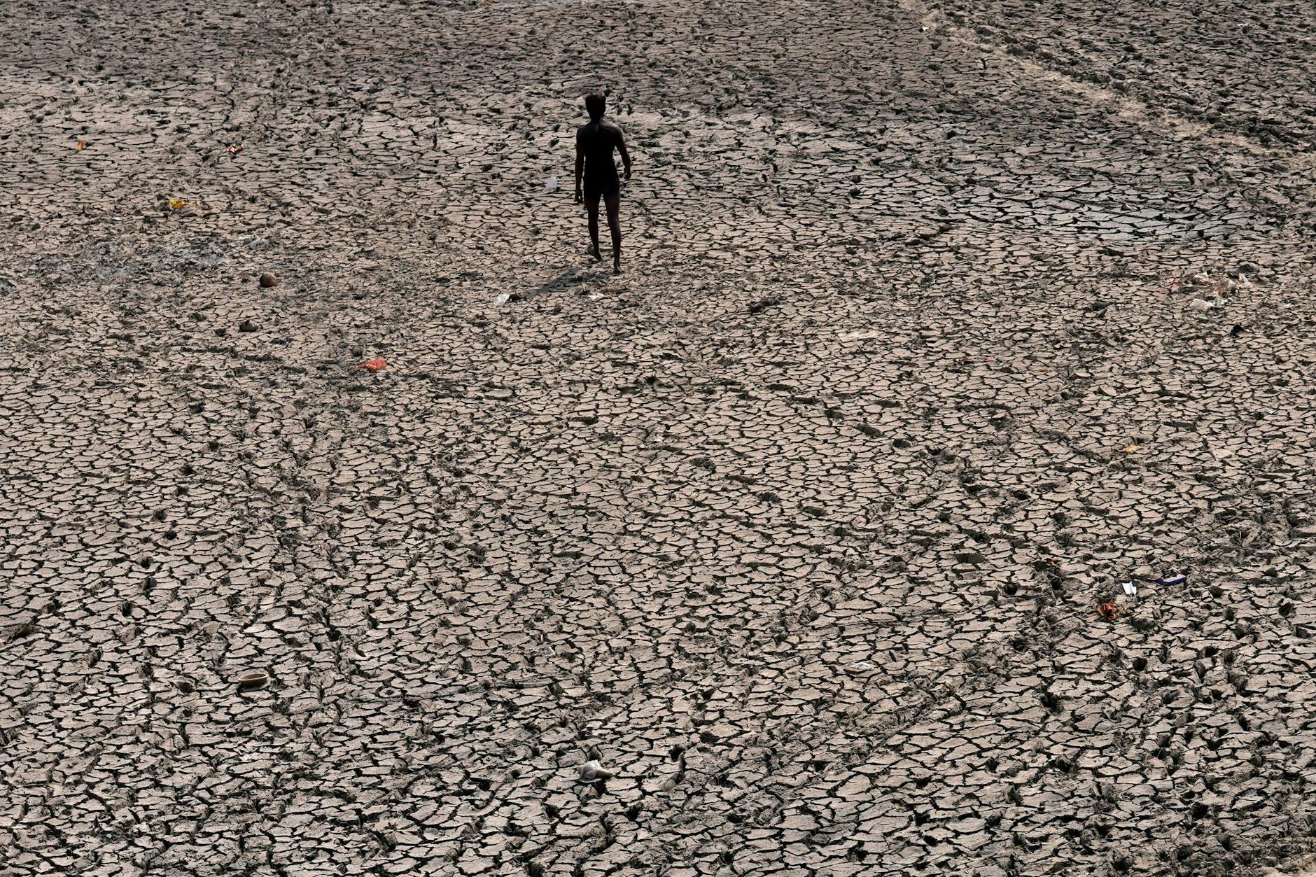 Brandenburg oder Sahel? Dürre ist global. Die Klimakrise ist eine der größten globalen Herausforderungen.