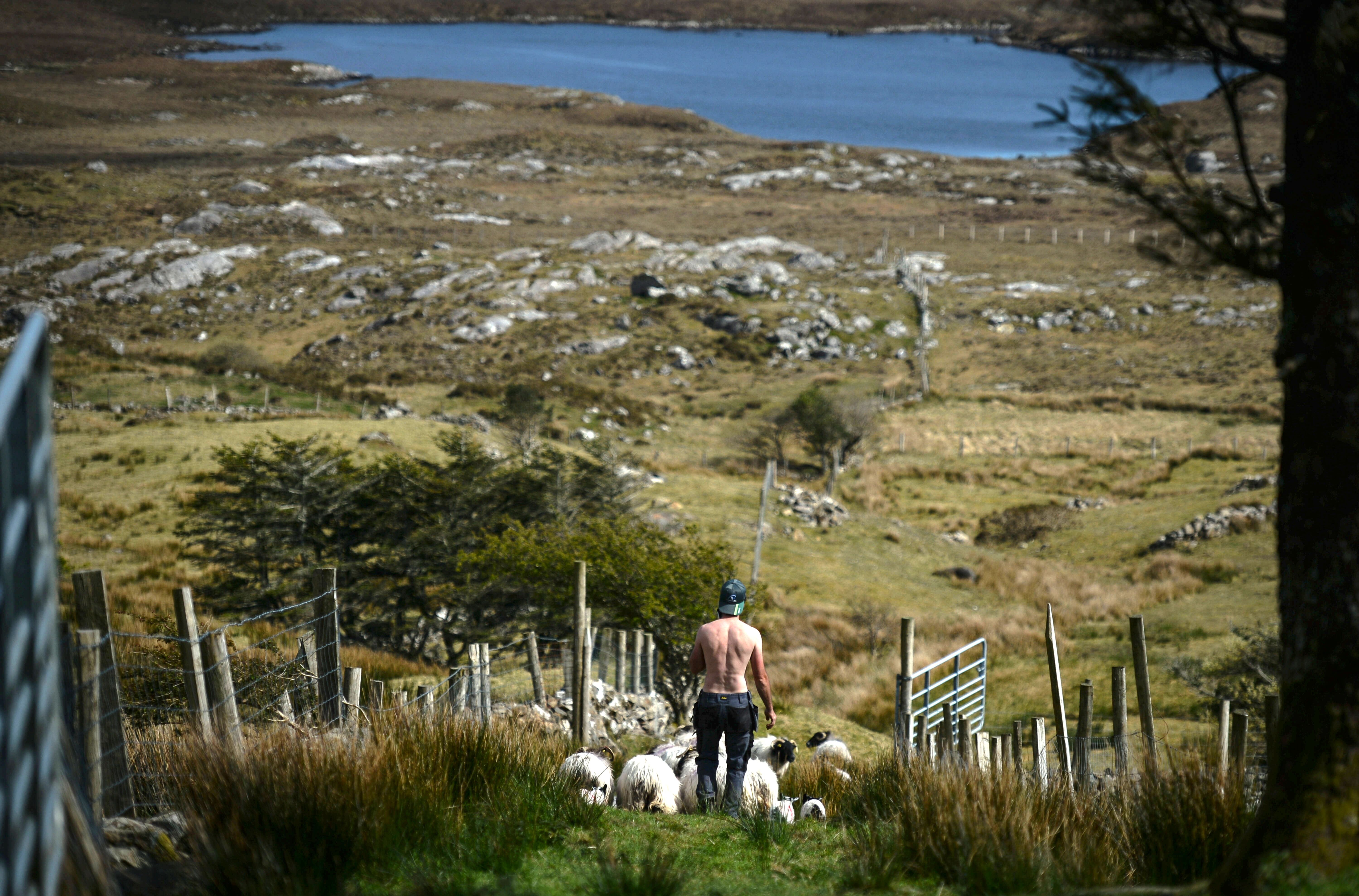 Privilegiert ist, wer in die Heimat zurückkehren kann
