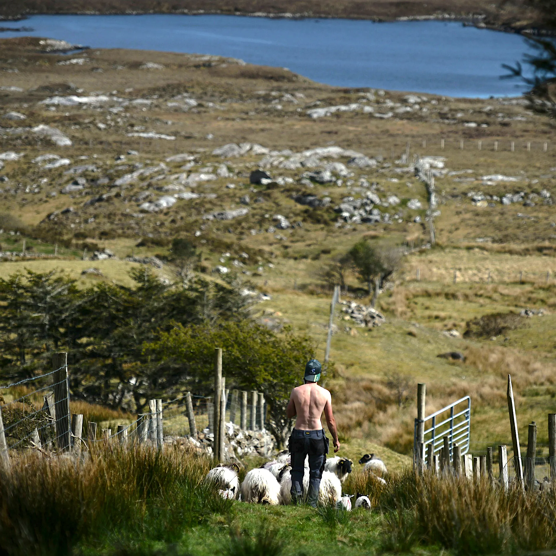 Privilegiert ist, wer in die Heimat zurückkehren kann