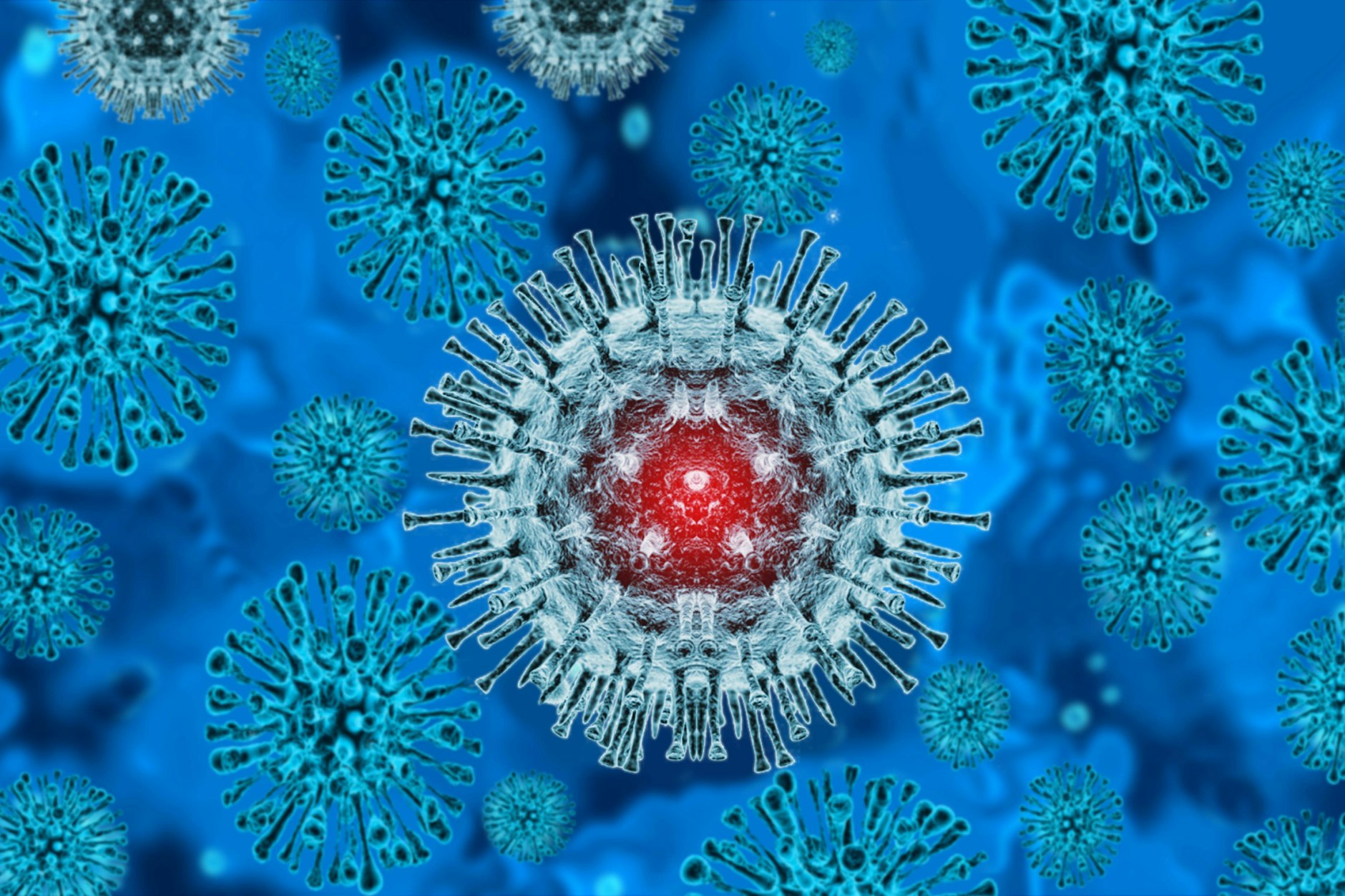 Das Affenpocken-Virus.