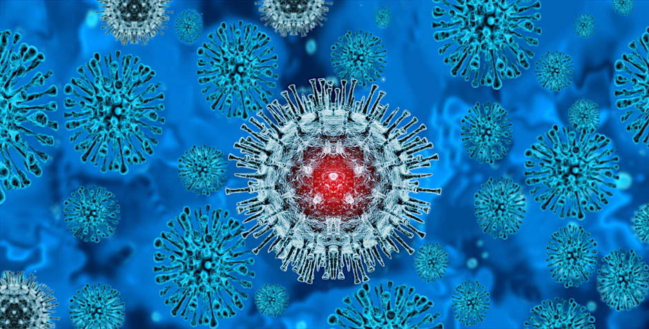 Das Affenpocken-Virus.