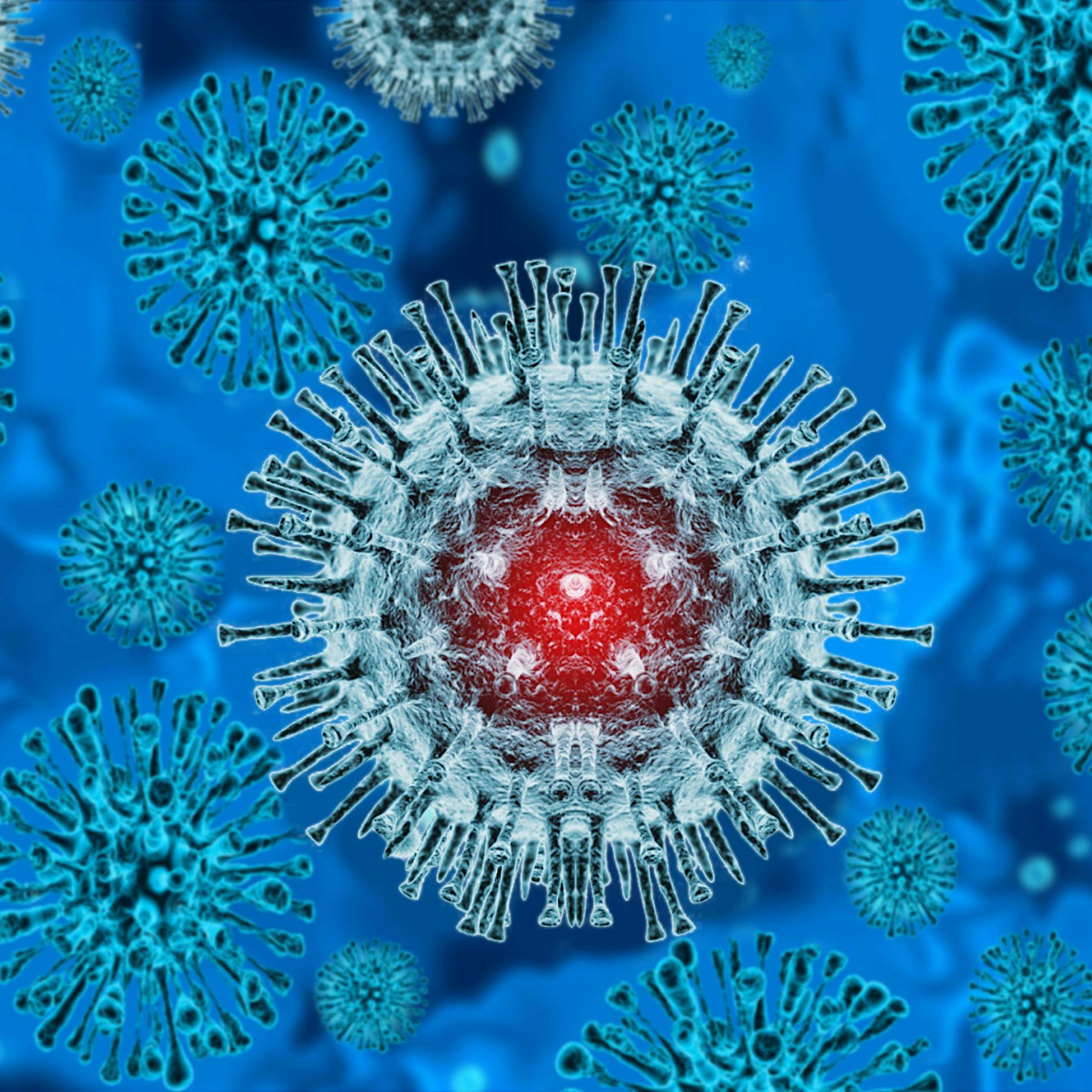 Studie: 95 Prozent der Affenpocken-Infektionen durch Sex