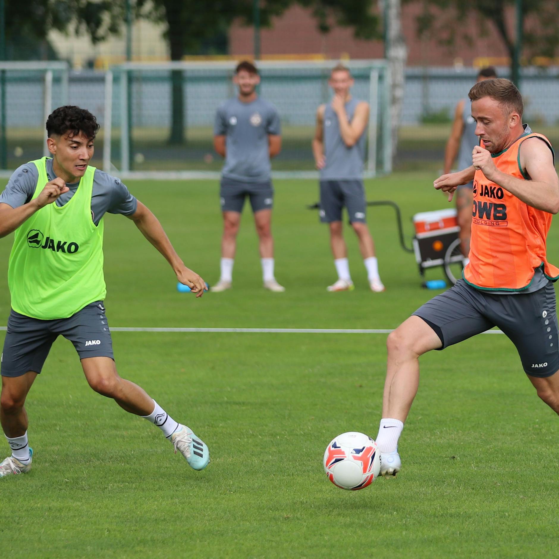BFC Dynamo: Zur Halbzeit der Vorbereitung ist Trainer Heiner Backhaus sehr zufrieden