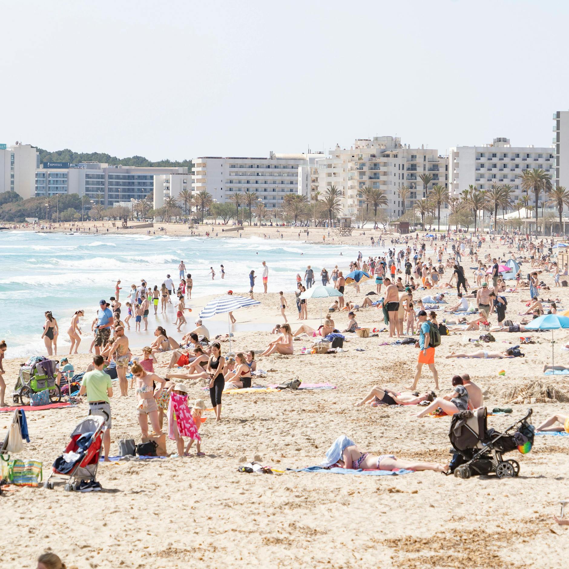 Preis-Schock: Wird der Mallorca-Urlaub bald deutlich teurer?