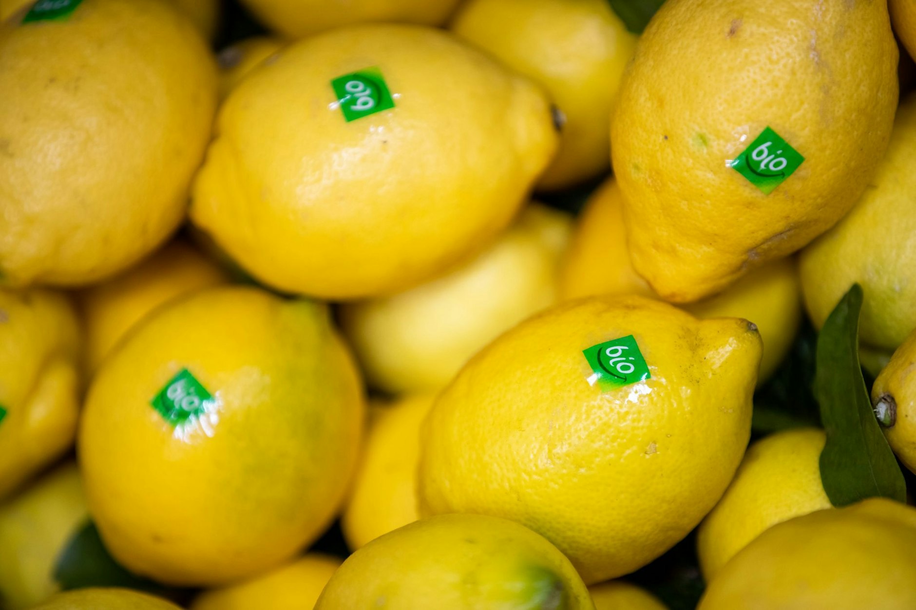 ARCHIV - Immer mehr Menschen setzen bei ihrem Lebensmitteleinkauf auf Bio-Produkte.  