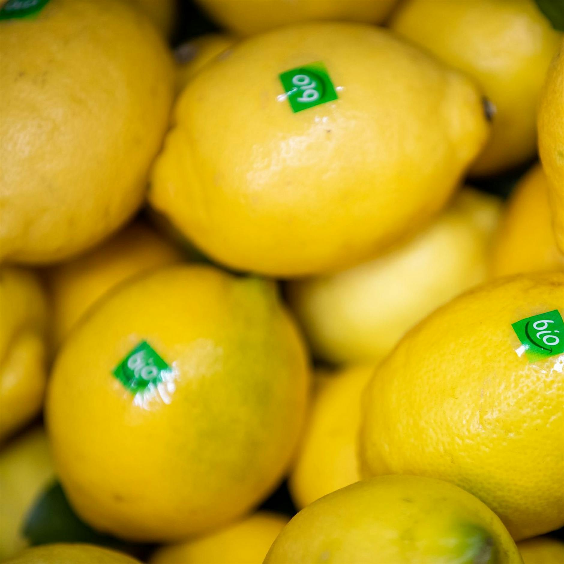 Bio weiterhin gefragt - im Discounter und Supermarkt